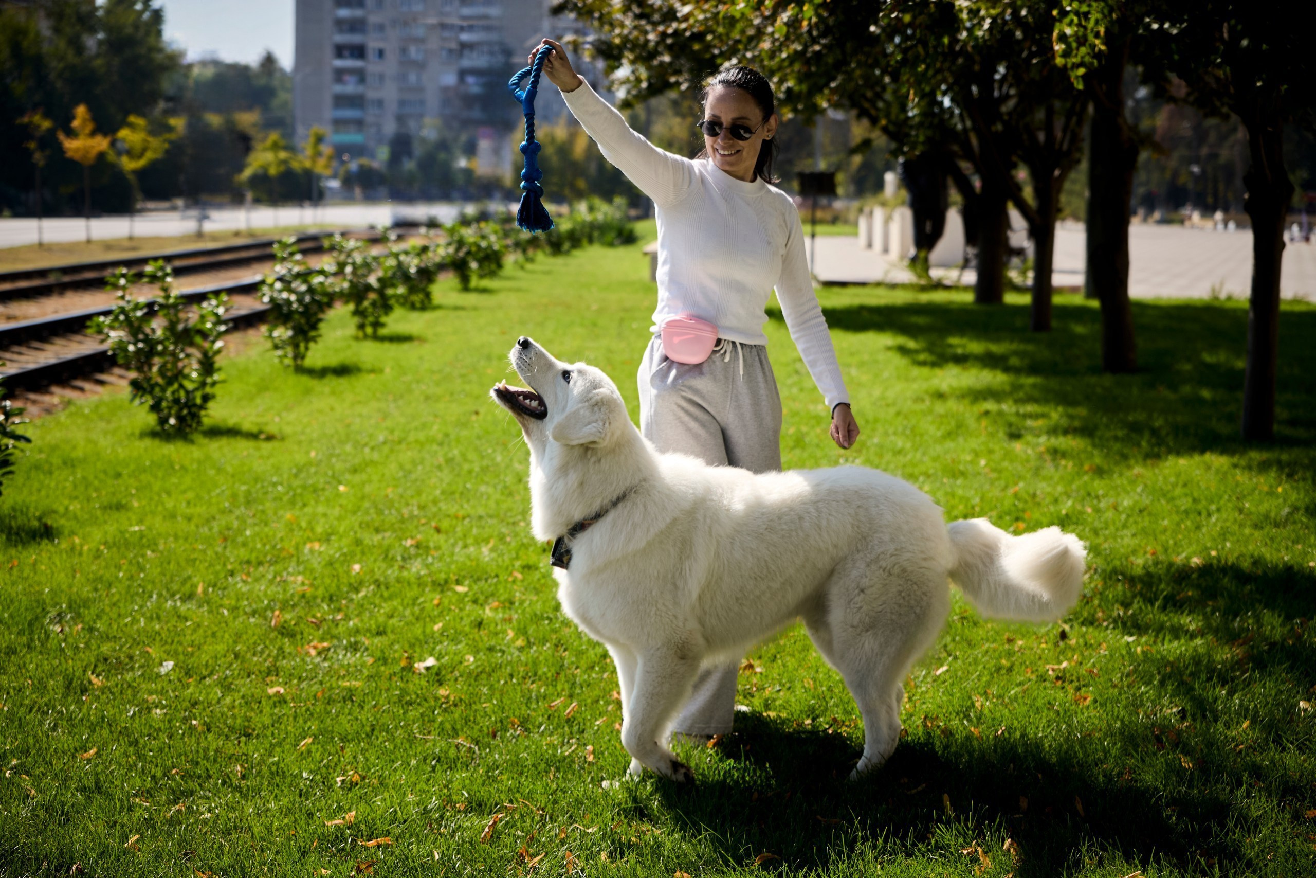 Фотопрогулки с собакой