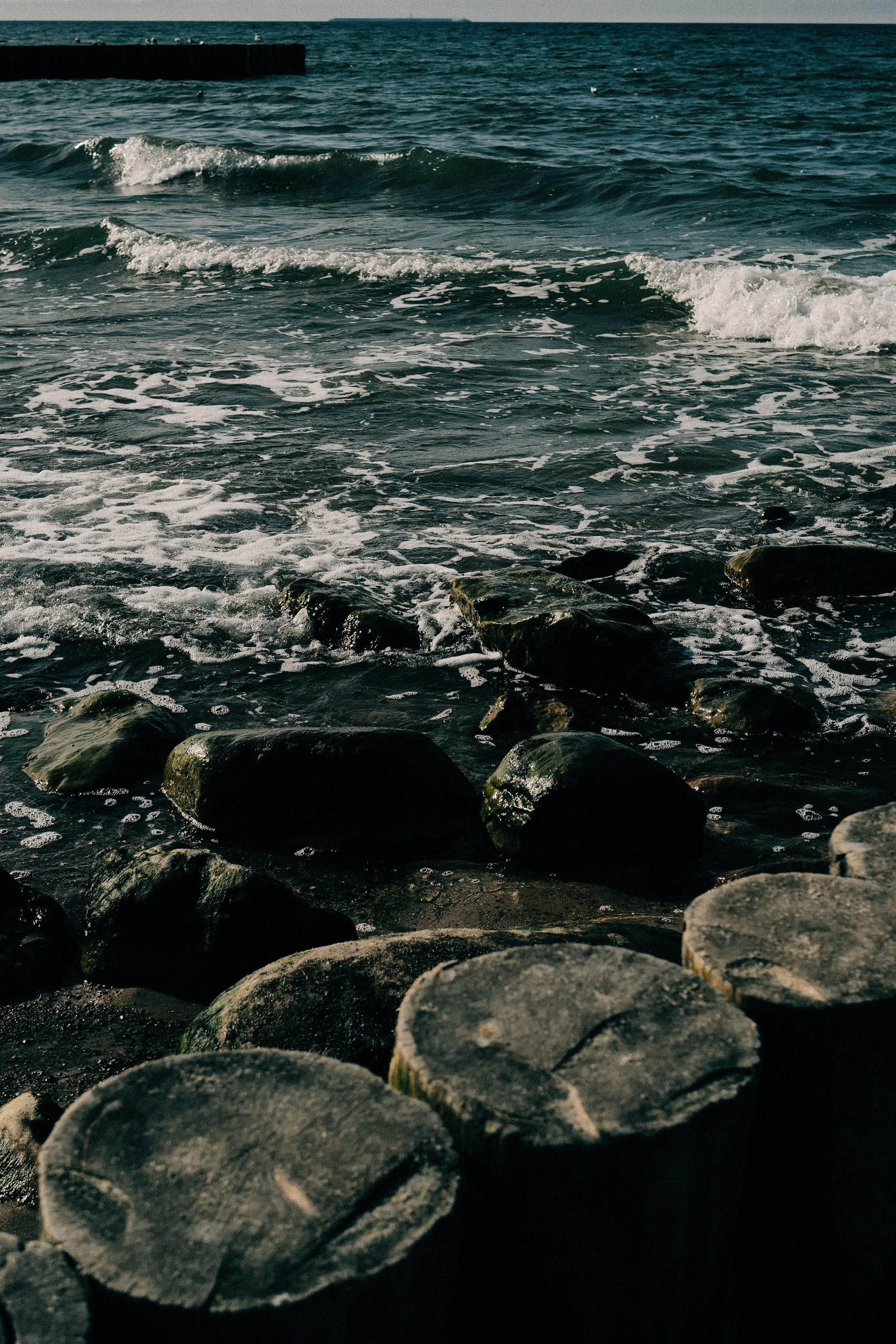 Zelenogradsk. Фотограф София Комкина