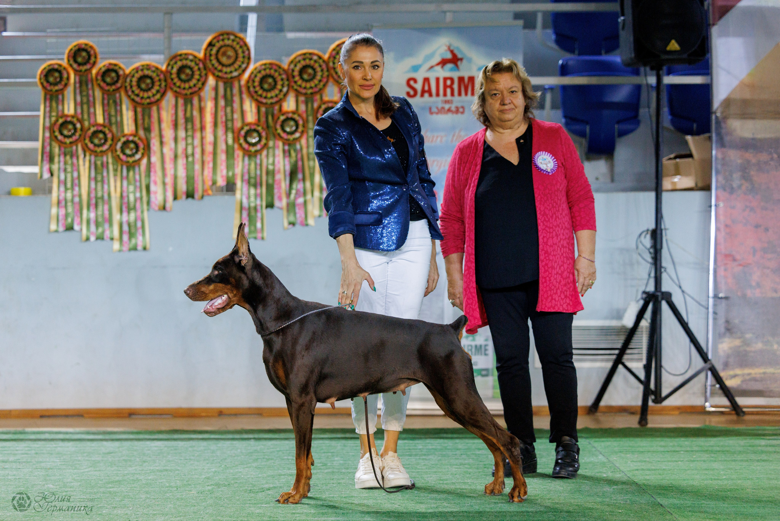 Грузия,Телави 2хCACIB 19-20.10.2024. Фотограф-анималист Юлия Германика