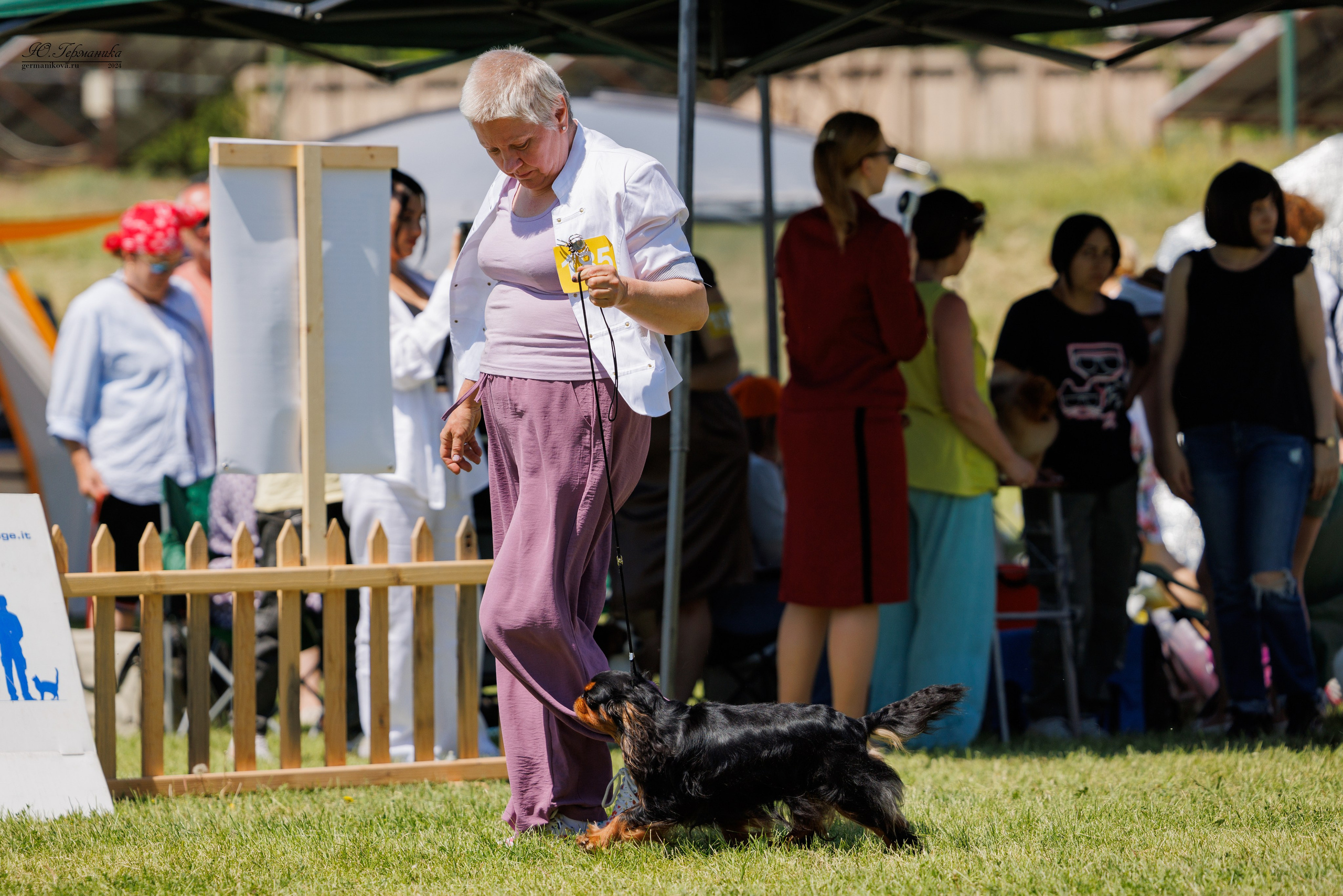Ереван 3-5.06.2024. Фотограф-анималист Юлия Германика
