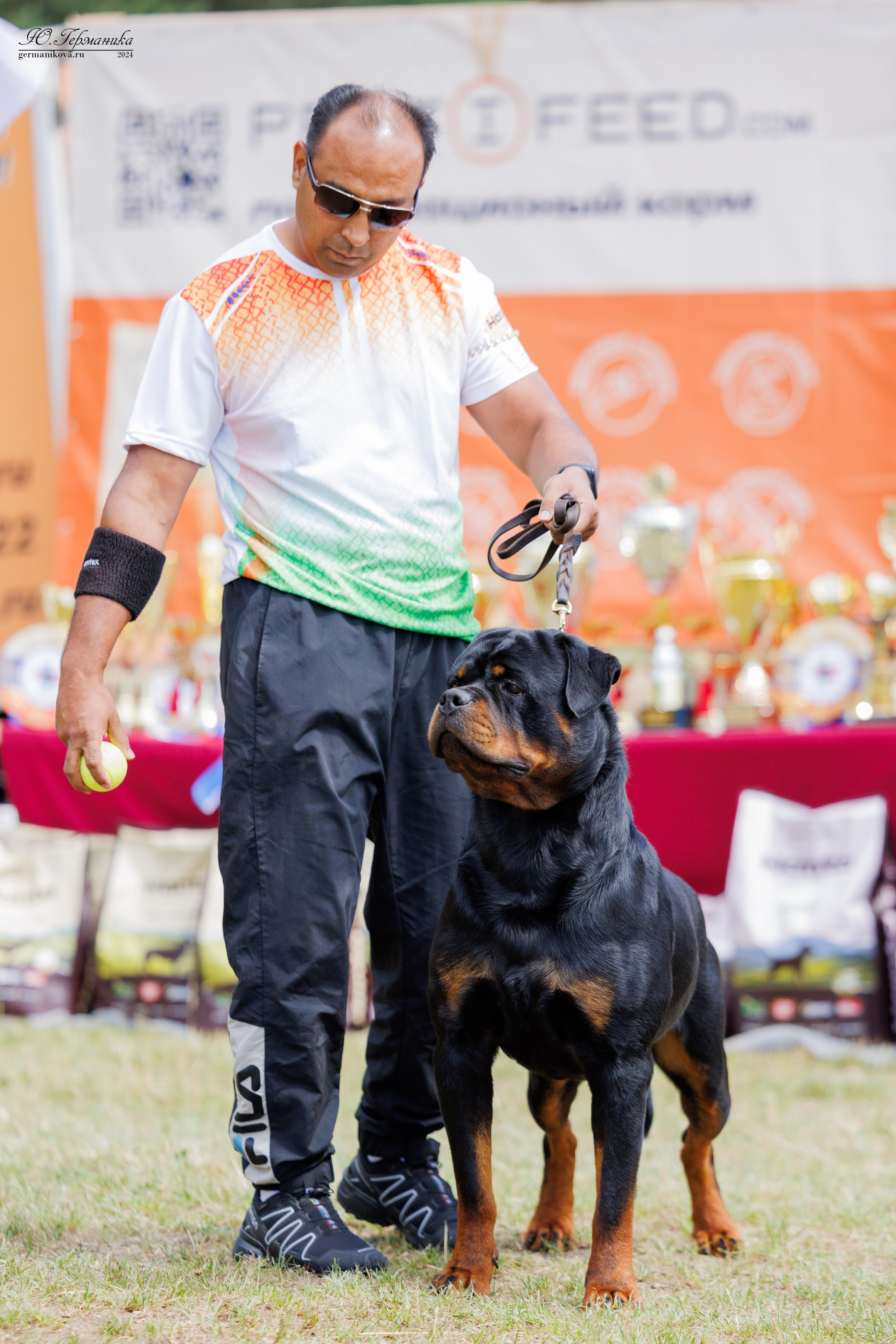 ПК и КЧК ротвейлеры Тверь 6-7.07.2024. Фотограф-анималист Юлия Германика
