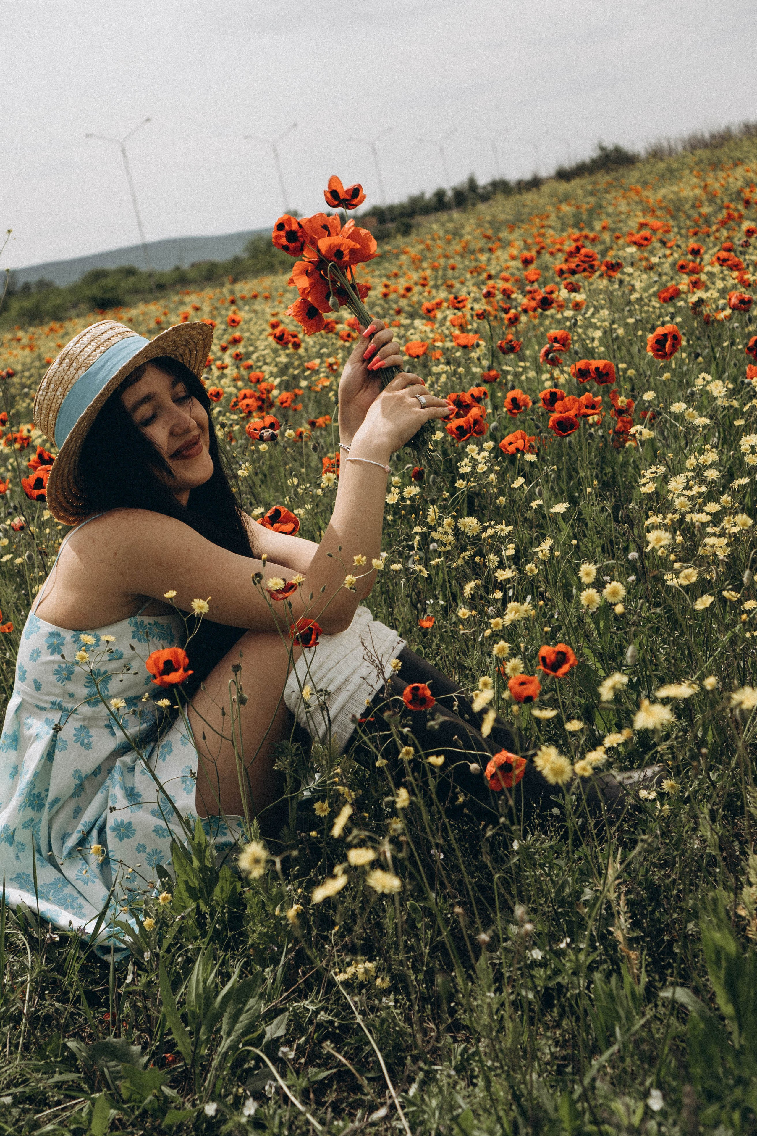 Цветочная поляна. Профессиональный фотограф, Санкт-Петербург — Виктория Богомолова