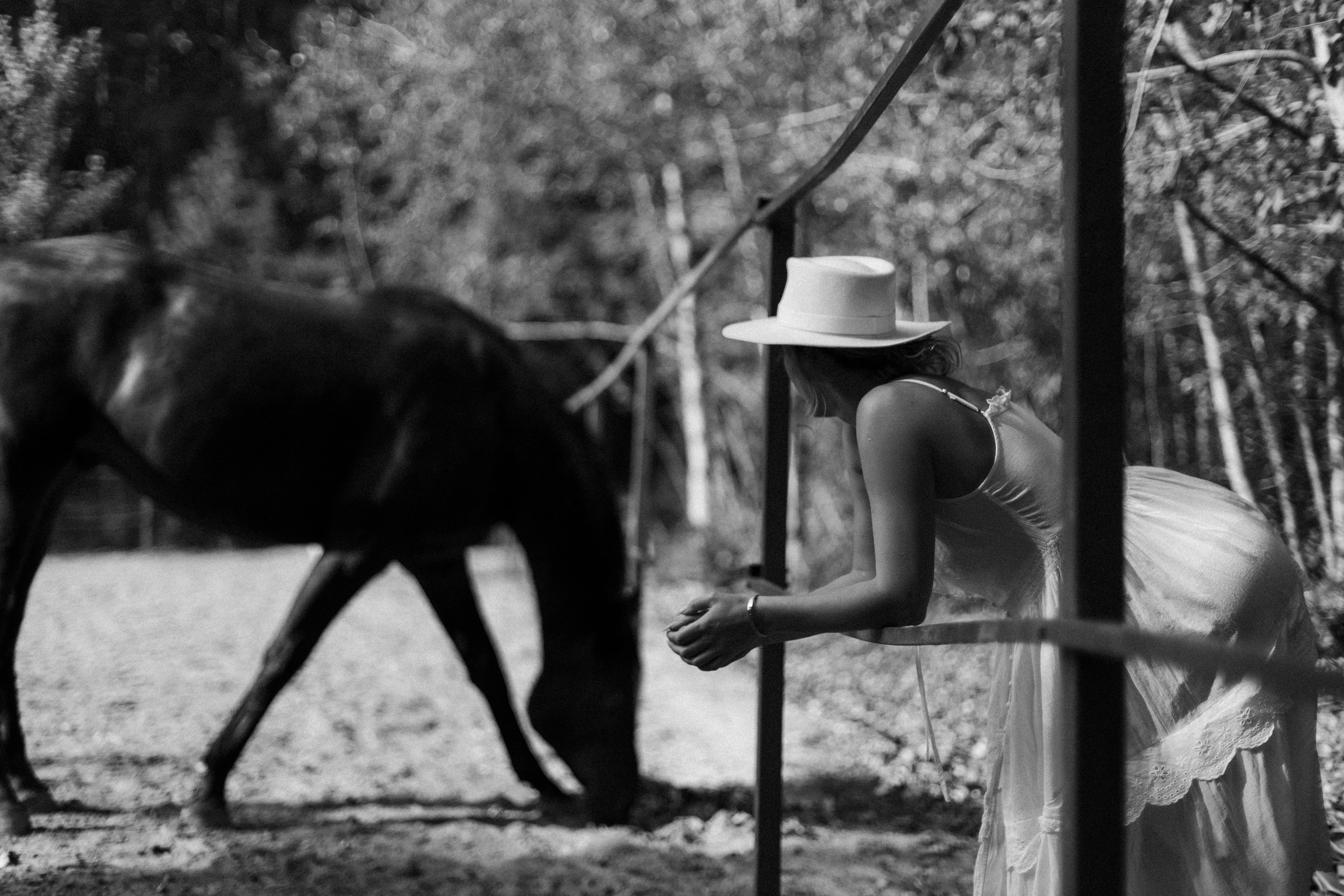 С Лошадьми. Фотограф