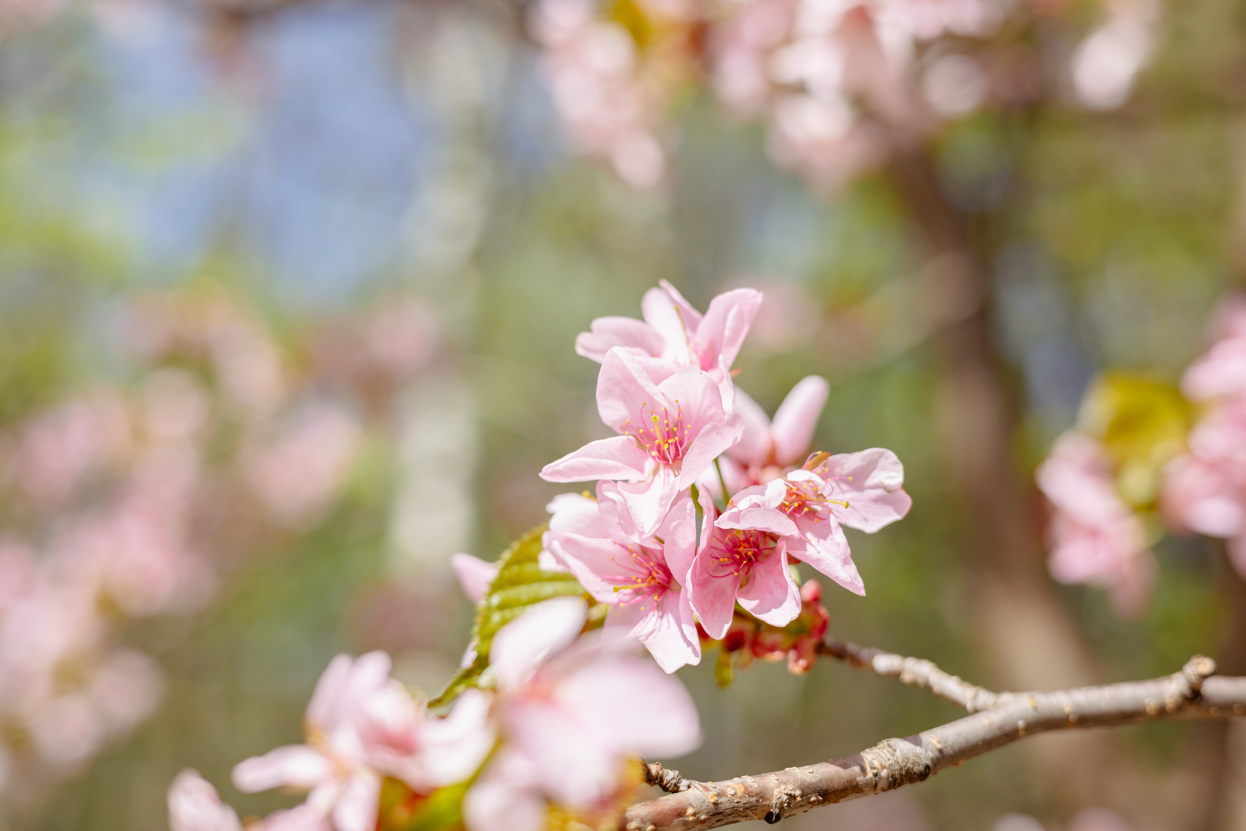 Коллекция пейзажных фотографий. Photographer Sonkina Tatiana (Tanya Ash)