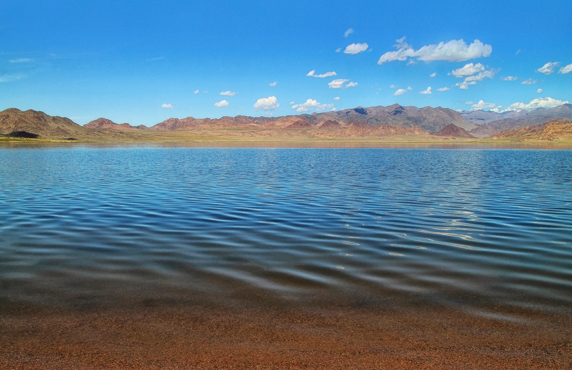 Природа и пейзажи / Nature and landscapes. Visual artist Olga Burmistrova