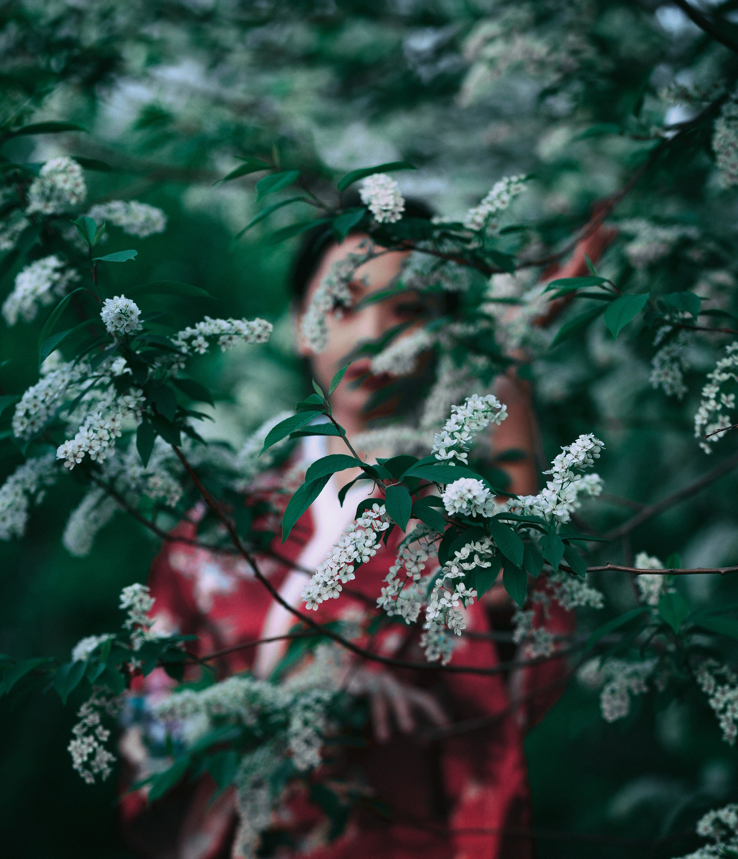 Гейша в саду. Фотограф в Москве Павел Моисеев