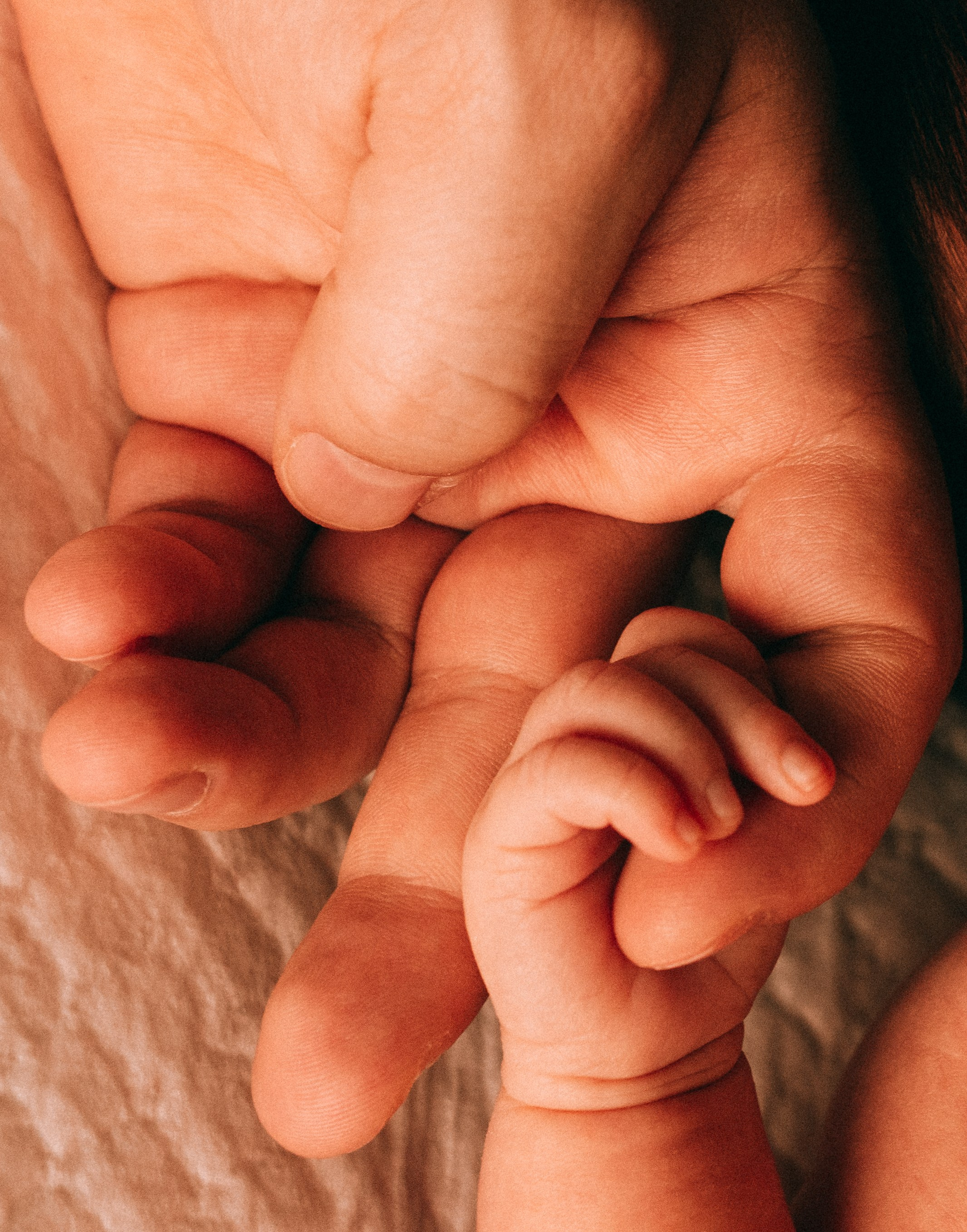 Василисе 1 месяц. Семейный, ньюборн фотограф, фотограф на роды в Москве, Виктория Тюльдюкова