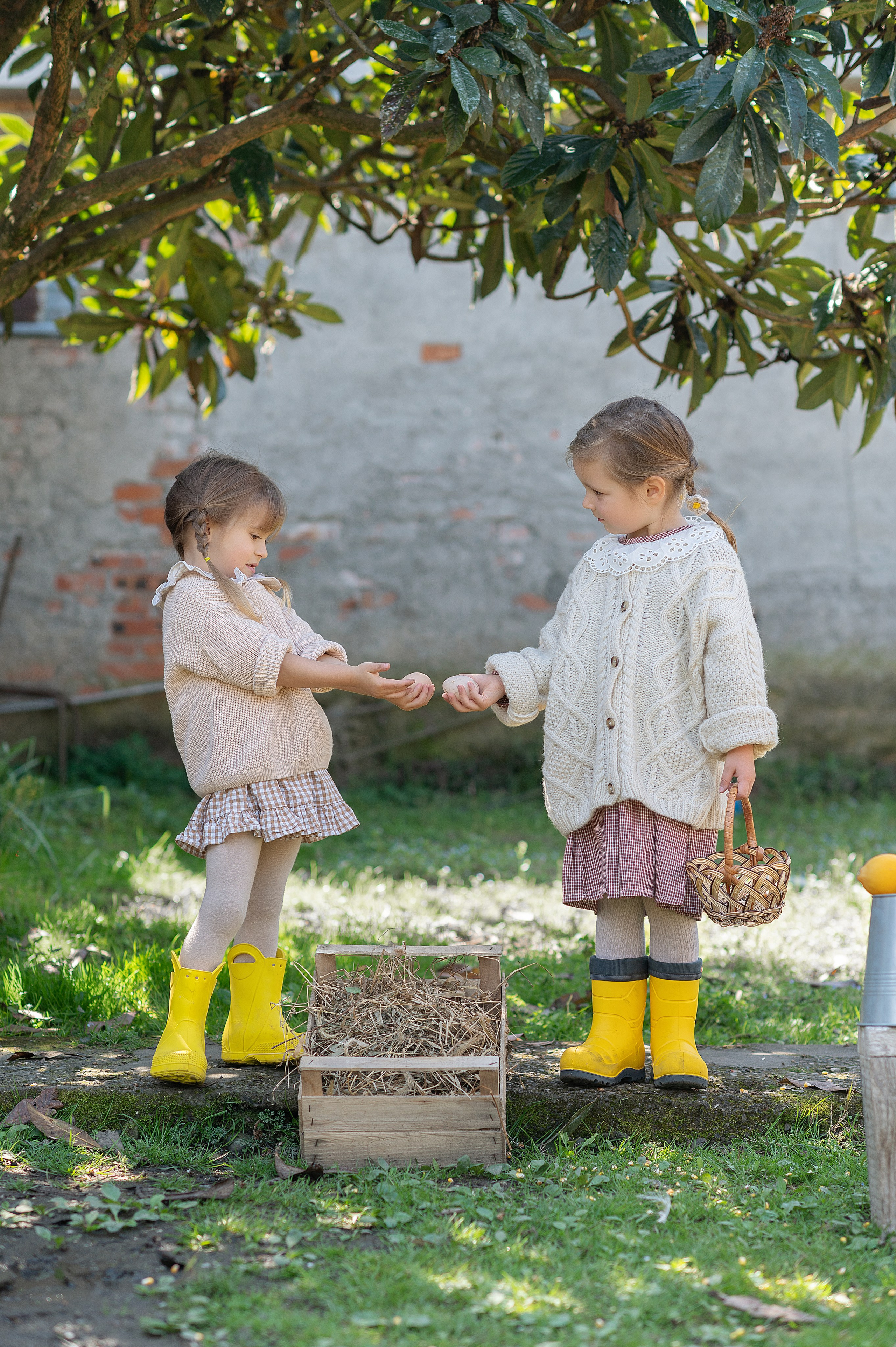 Курочки. Детский фотограф Абхазия
