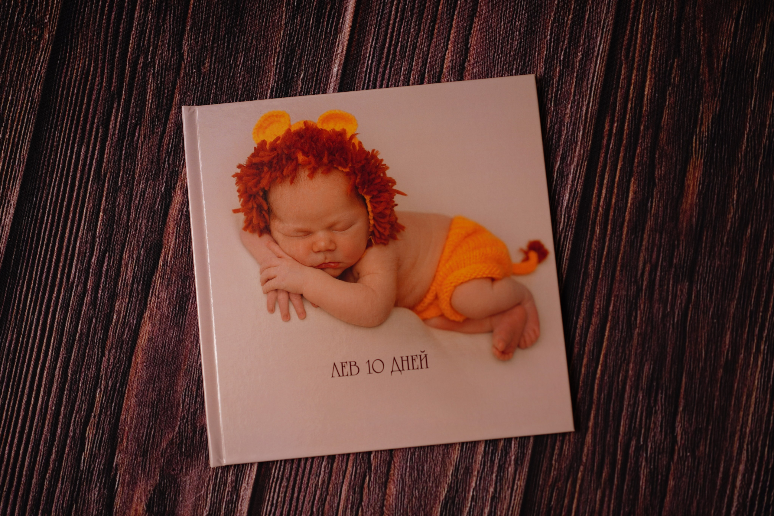 Лев 10 дней. Фотограф новорожденных в Нижнем Новгороде Сергеева Оксана