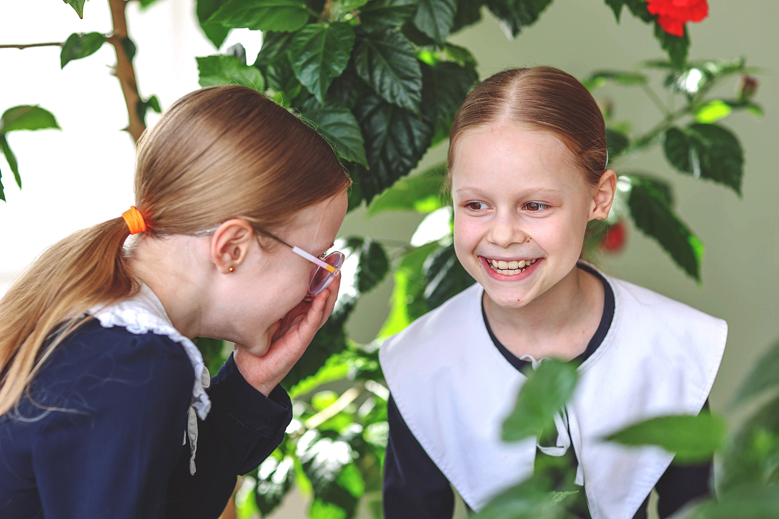 Школьная история. Выпускные школьные альбомы в Иркутске и Краснодаре