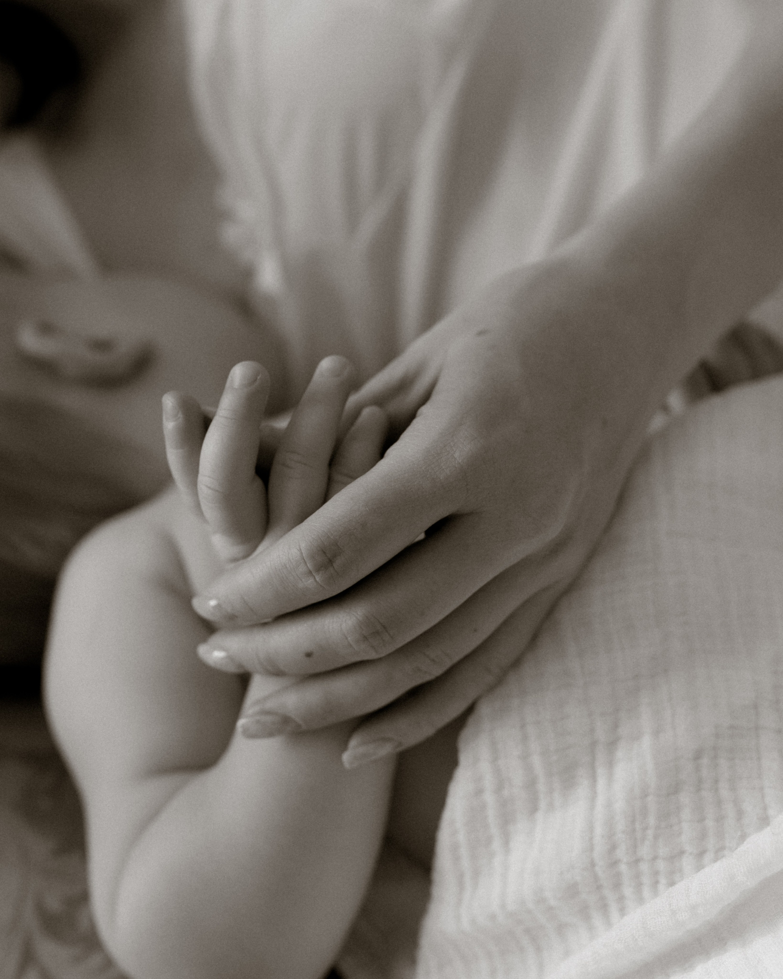 ♡. Фотограф во Владимире, Москве и Суздале-Виктория Чистякова