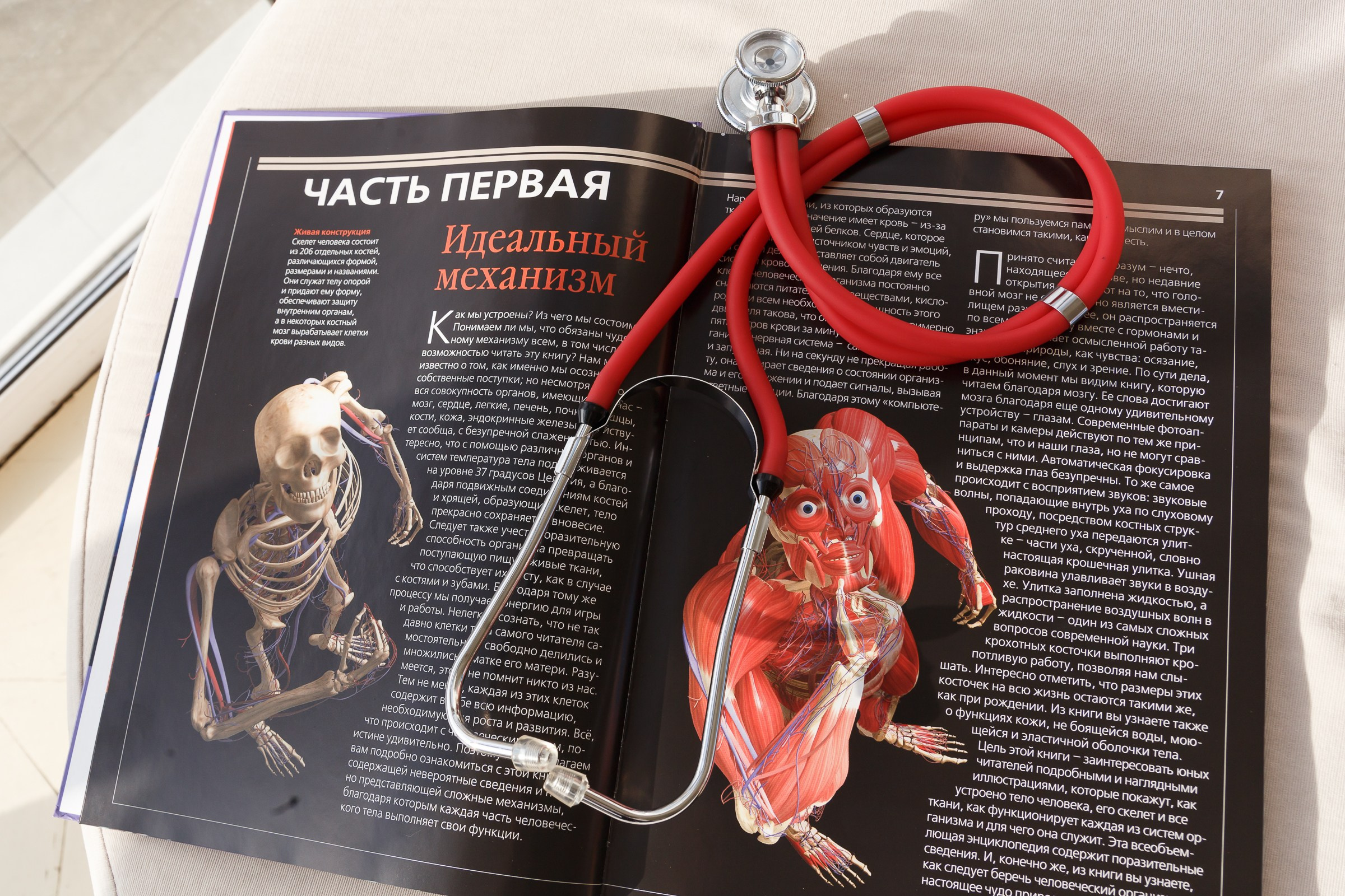 Группы. Свадебный и семейный фотограф в Новосибирске Дарья Кель