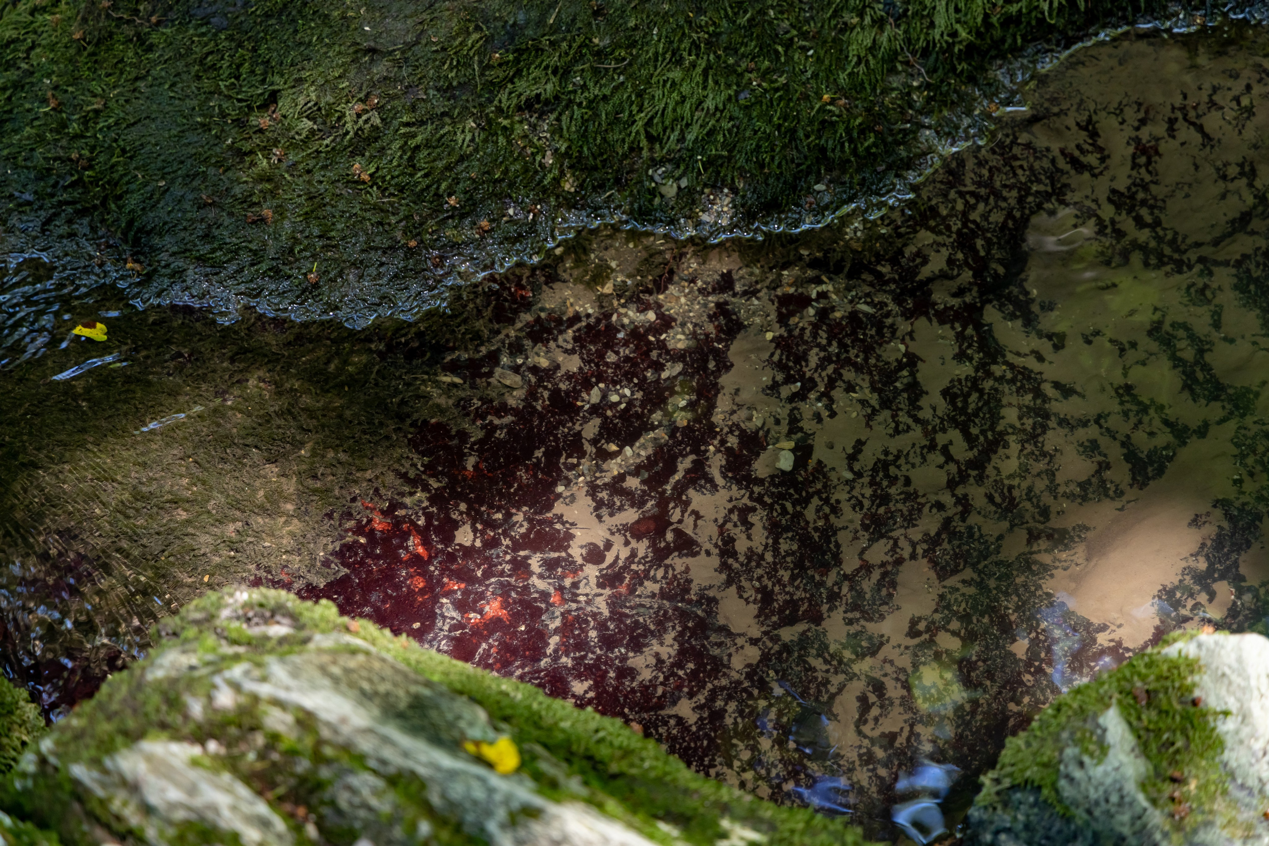 Сочи. Солох Аул. Репортажный, семейный и студийный фотограф в Москве Демин Алексей