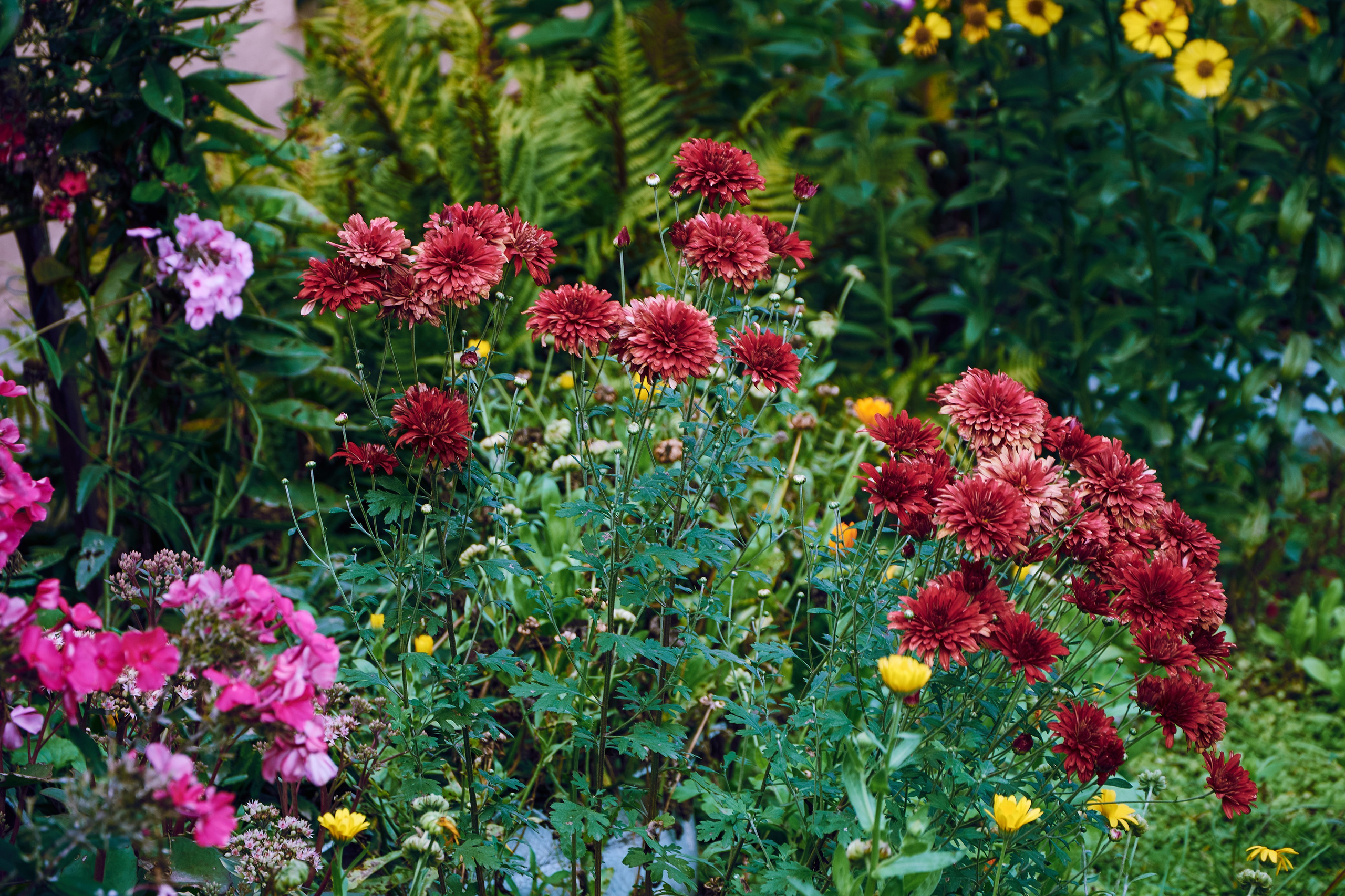 Нерехта — музей под открытым небом. Ольга Чёкотова (Фотограф Кострома)