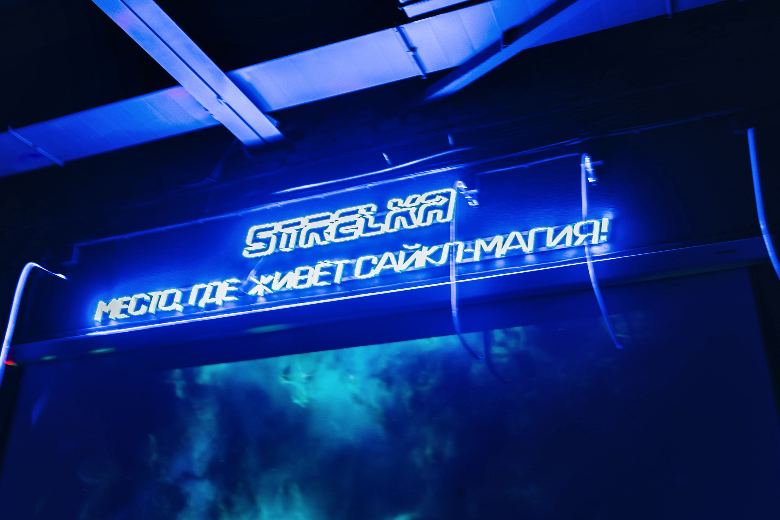 Сайкл-студия «Стрелка», заезд. Школьный, фэшн фотограф в Тюмени и в России Ирина Королева