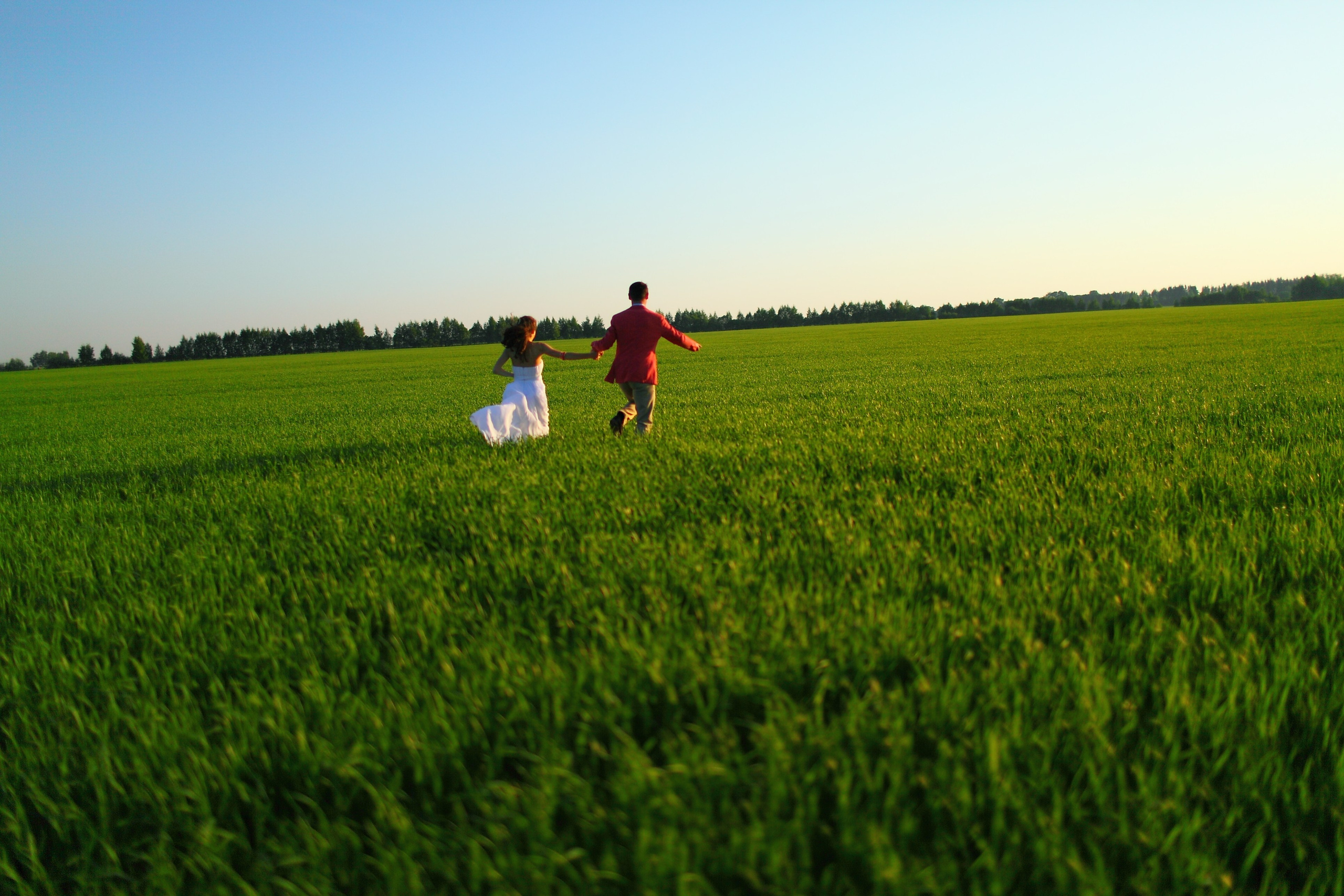 Душевная фотосессия пары в поле. Свадебный и репортажный фотограф в Ярославле и Санкт-Петербурге Роман Микрюков