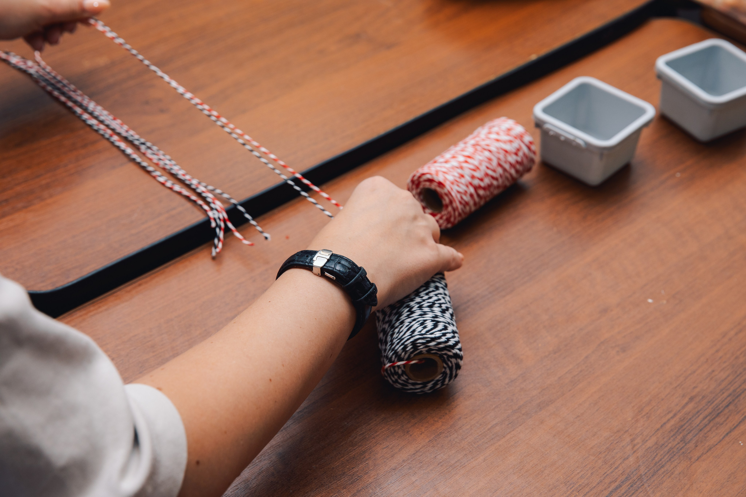 03.09.2025 Открытие АНО Возможно. Фотограф в Санкт-Петербурге Алена Сертакова