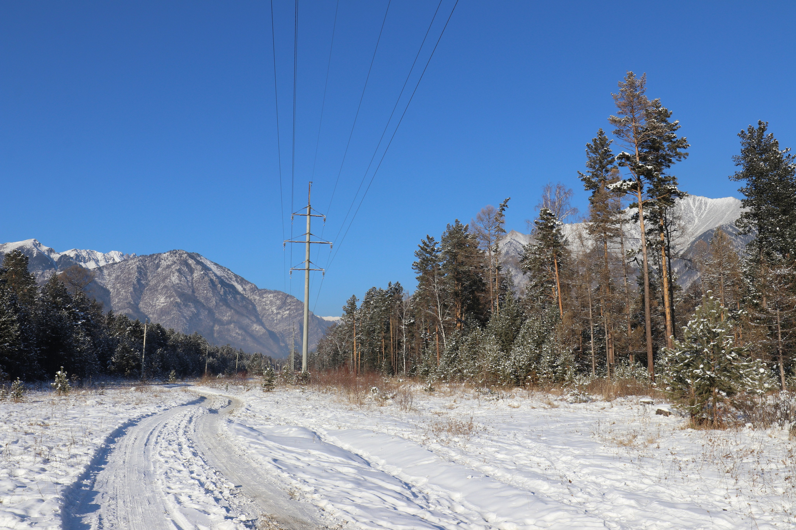 Аршан. Январь 2022. Путешественник-фотограф из Санкт-Петербурга Татьяна Свистулина