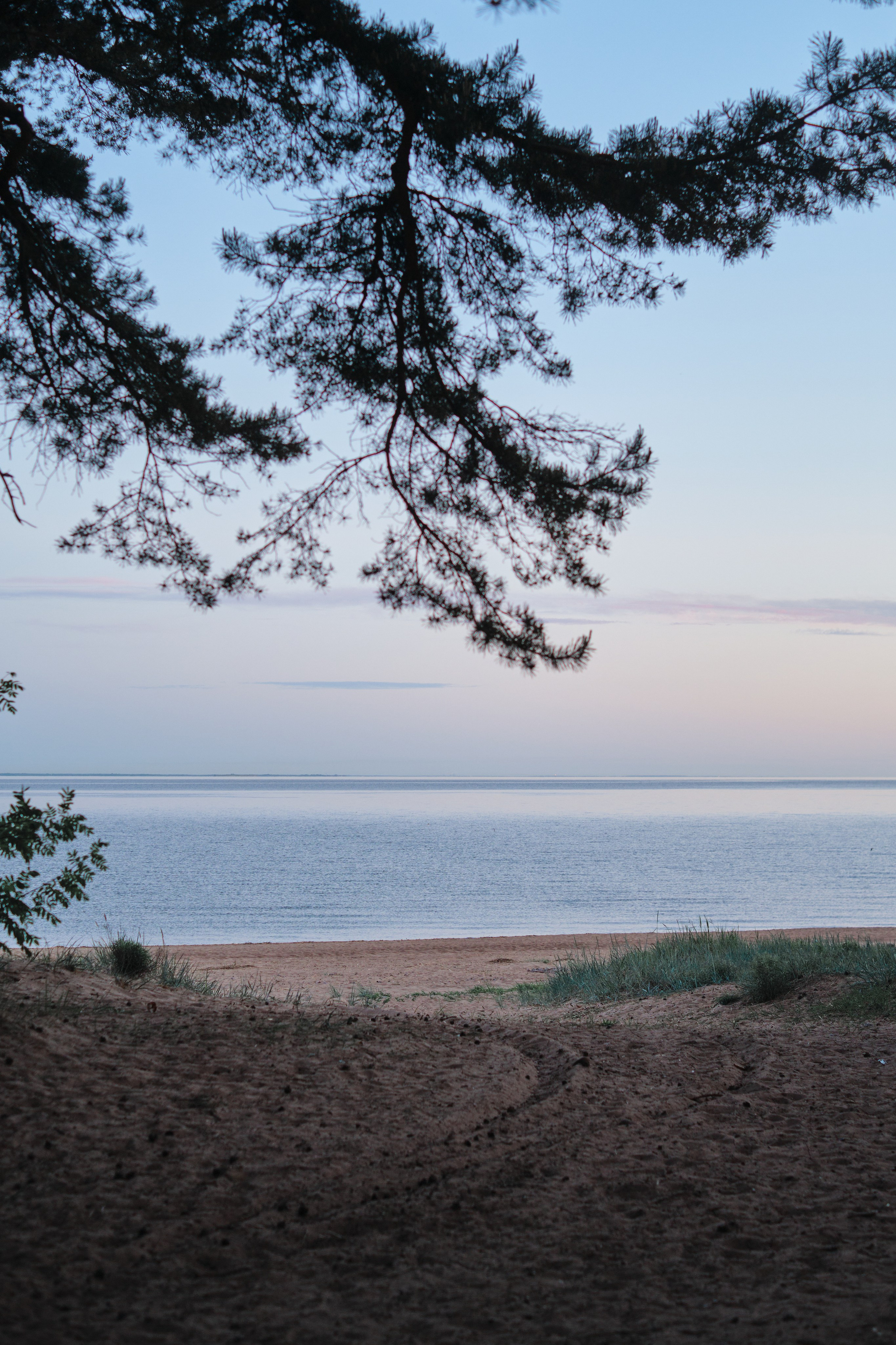 Анна и Дмитрий. Фотограф в Москве и Санкт-Петербурге