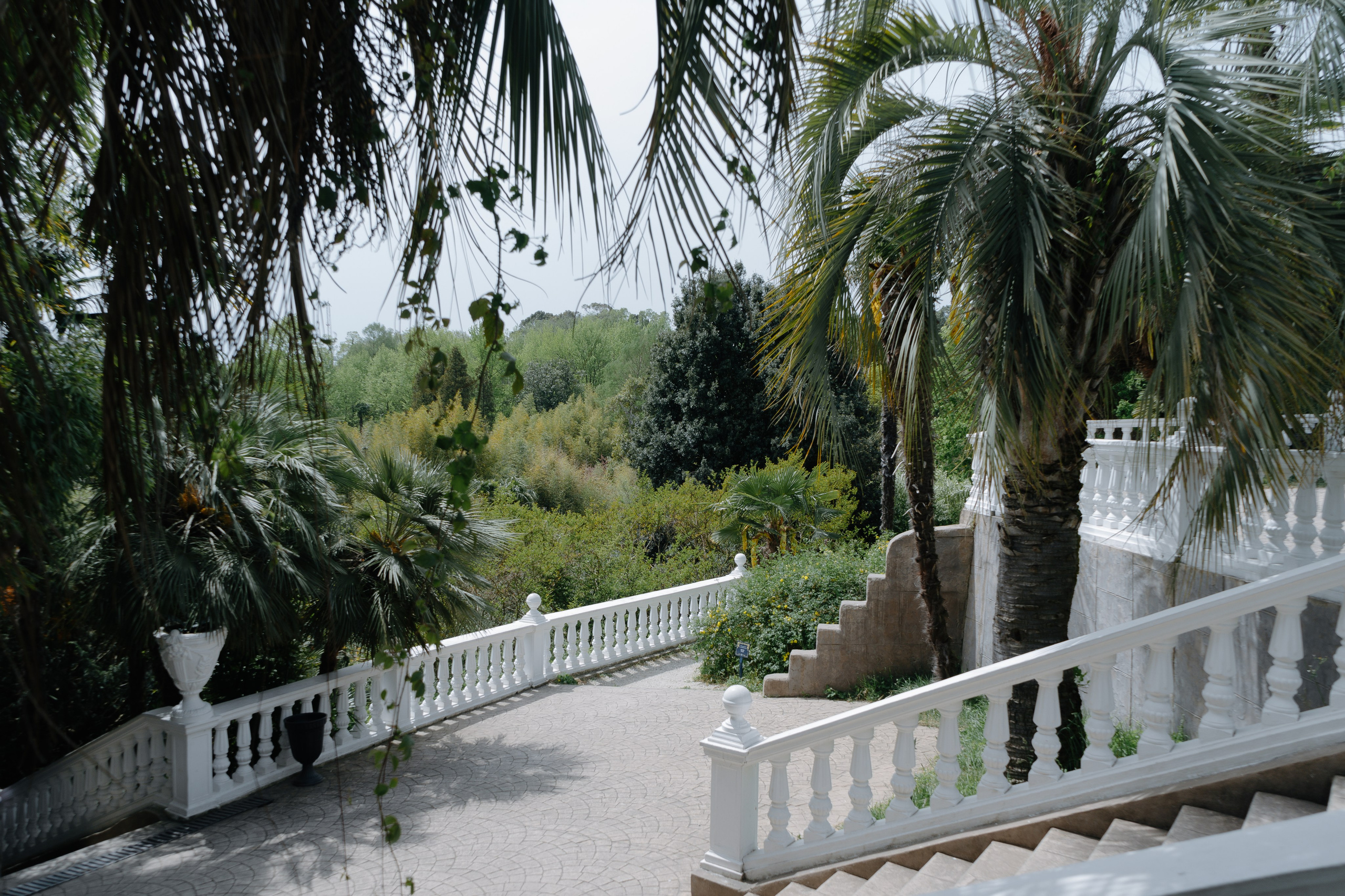 Сочи и Абхазия. Денис Марков — фотограф в Екатеринбурге