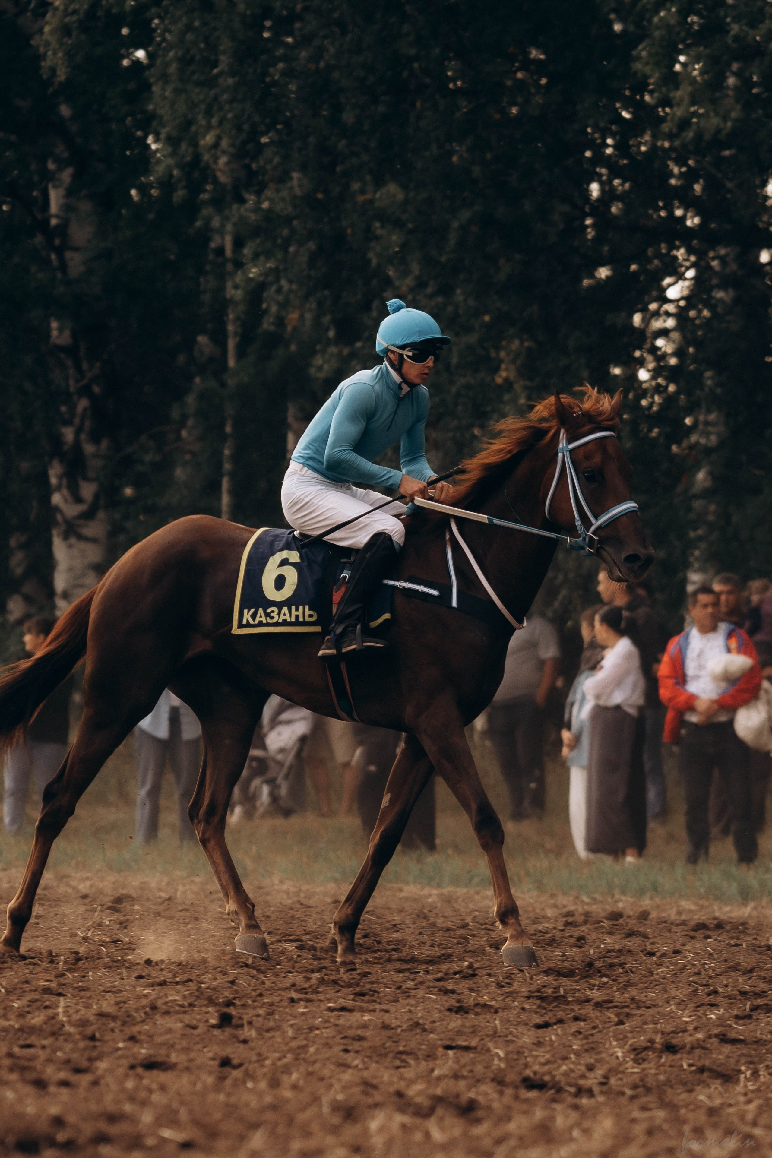 День Коня. Алиса Никитцова | Фотограф в Казани