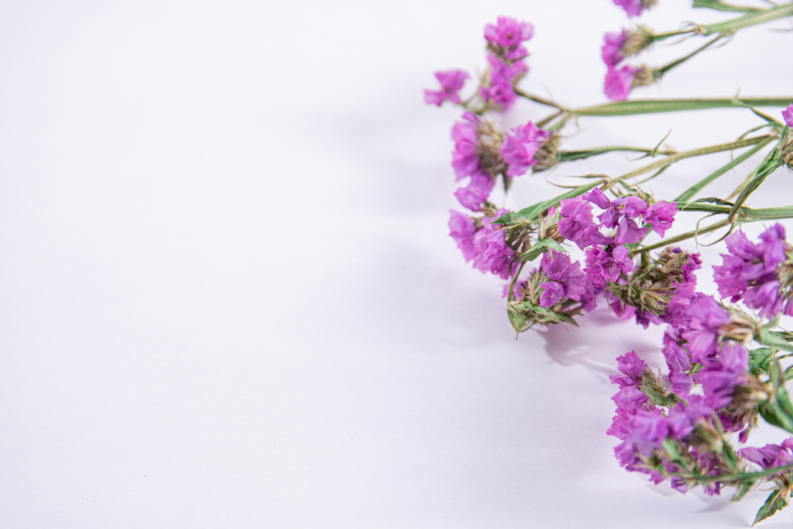 Предметная фотосессия | Фотограф в Валенсии