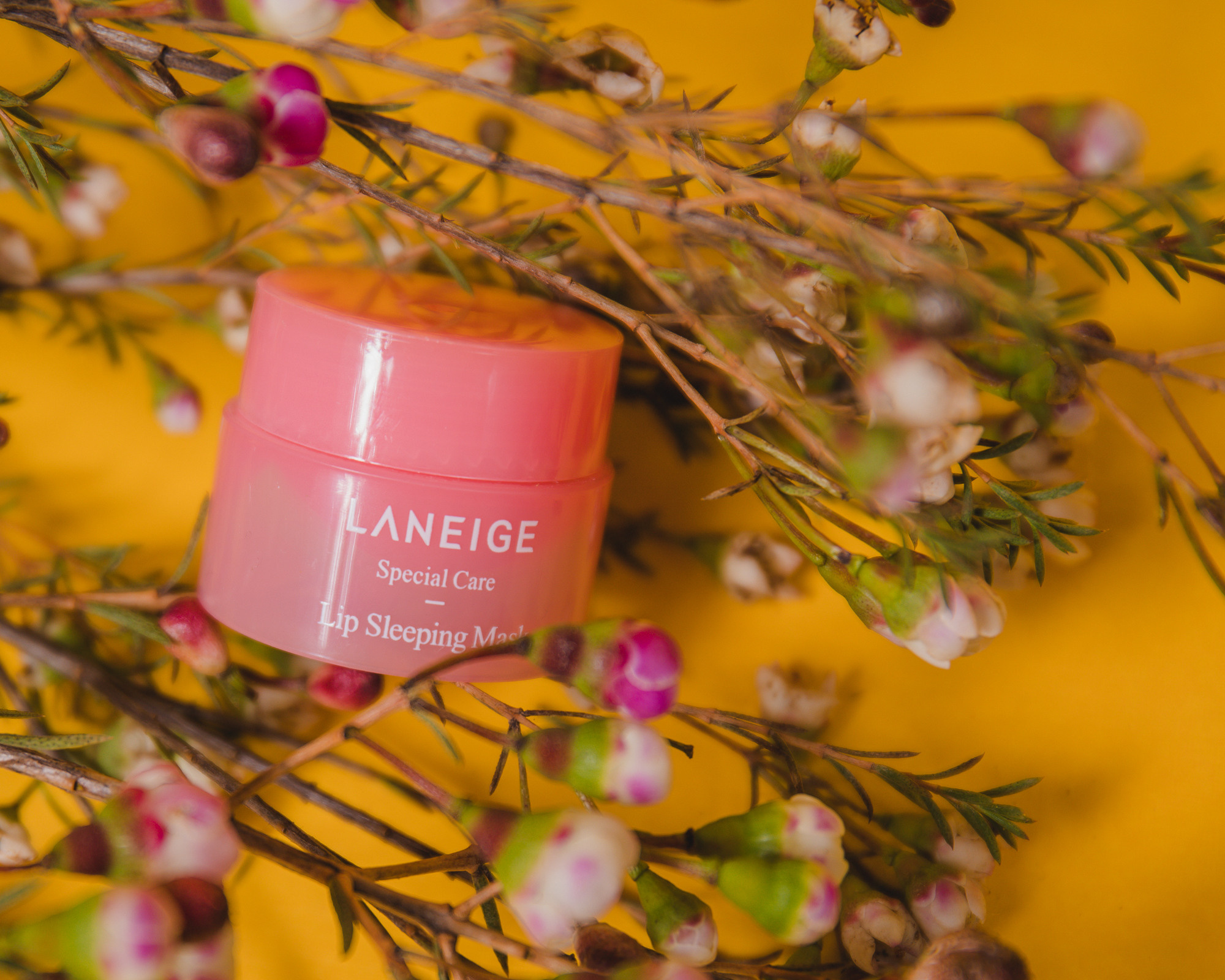 Предметная фотосессия | Фотограф в Валенсии