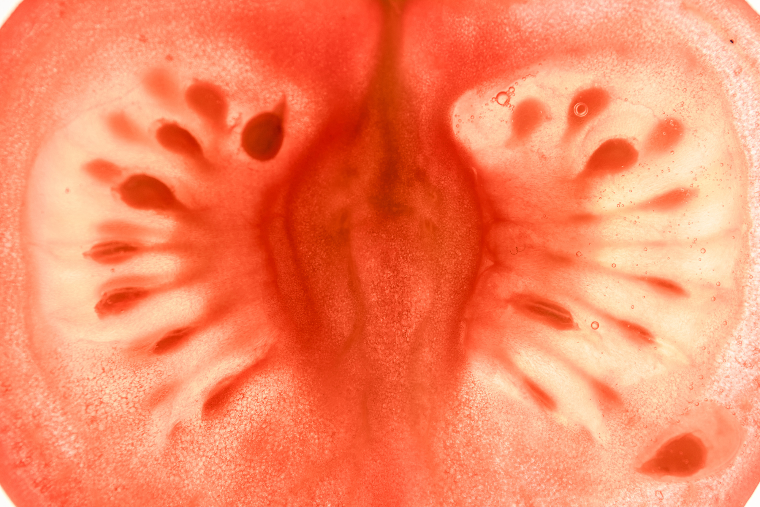 Предметная фотосессия | Фотограф в Валенсии