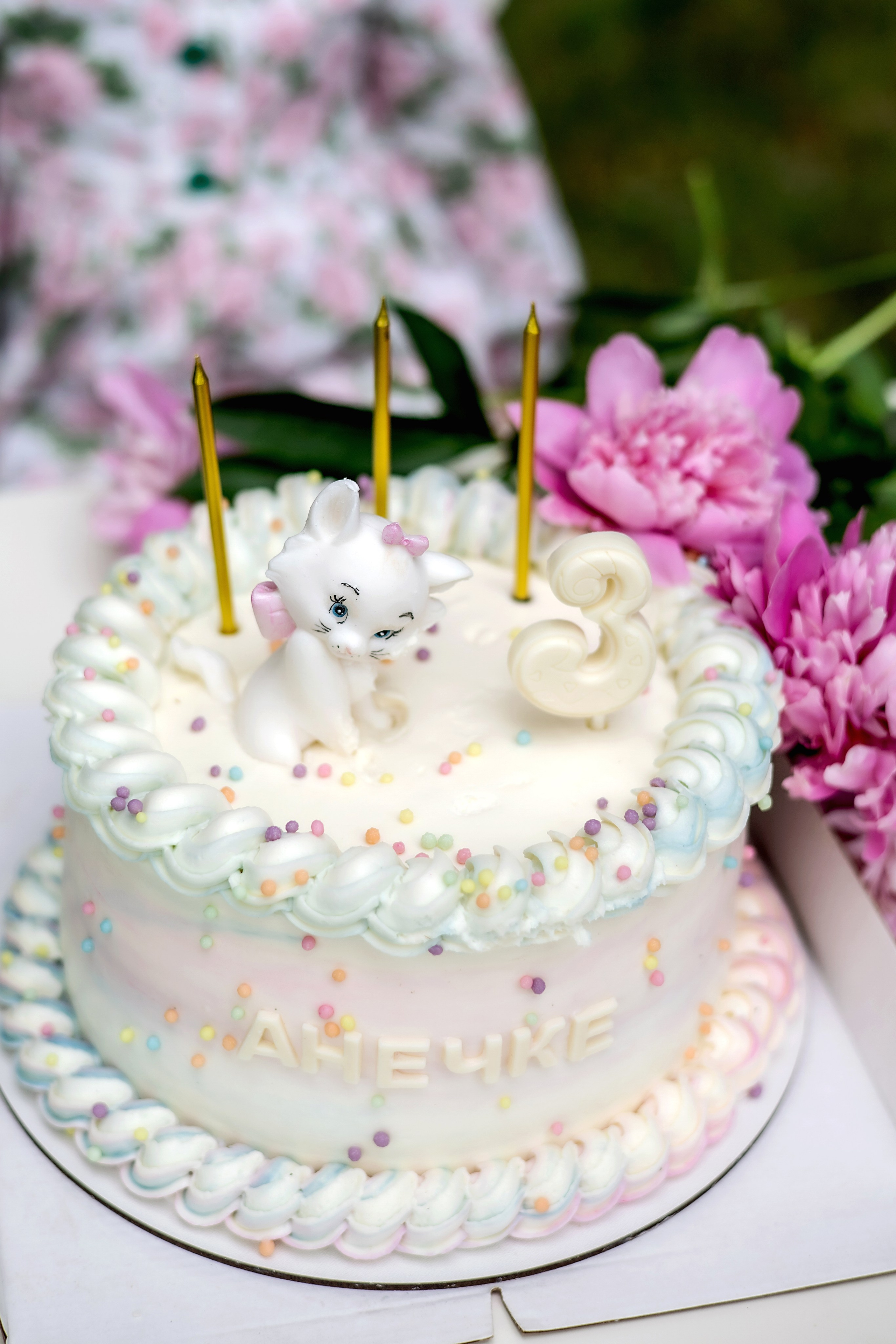 Семейный пикник. Фотограф Надежда Лукьянова