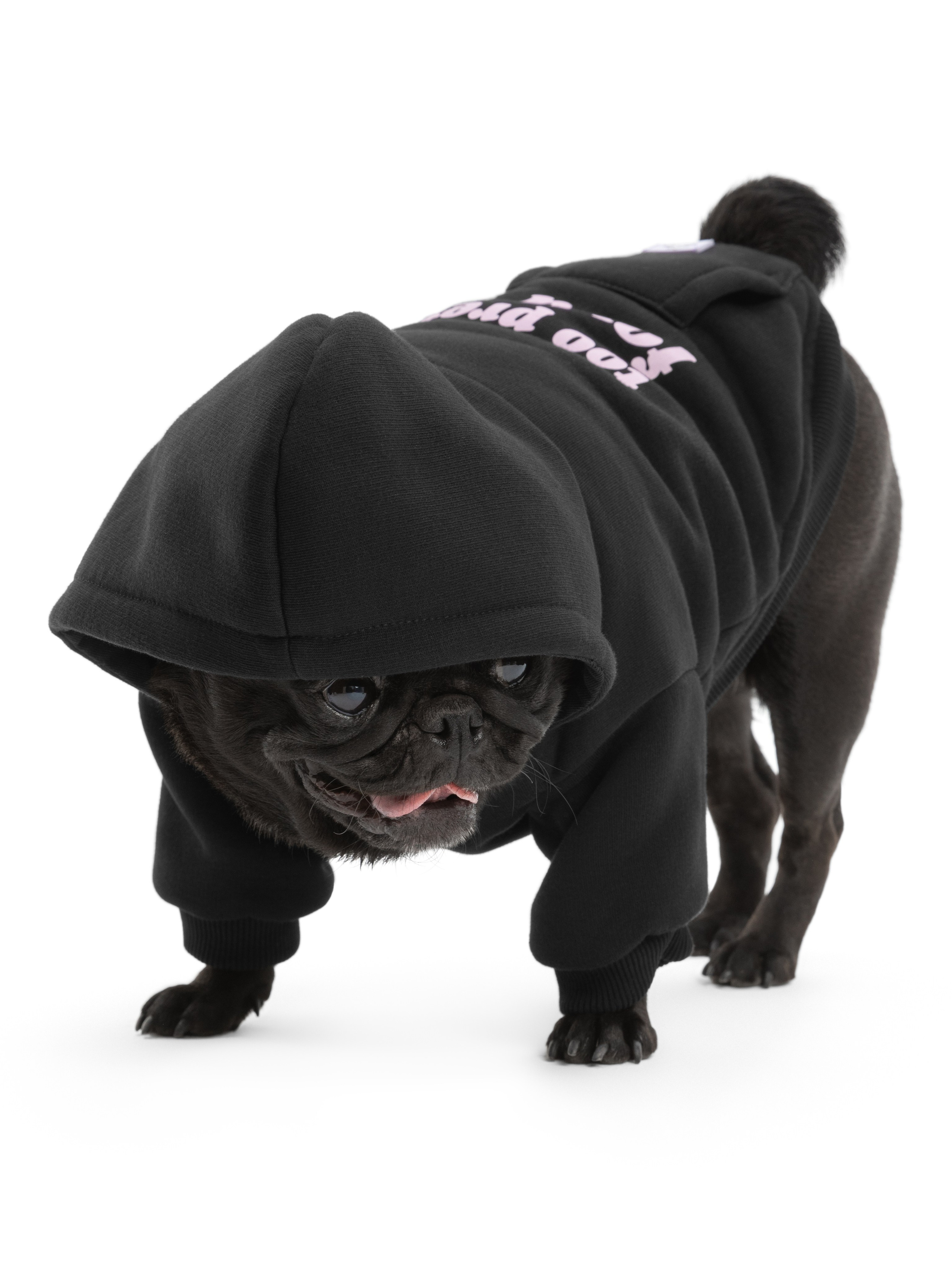 Одежда для собак Pet Subject. Олег Дмитриев