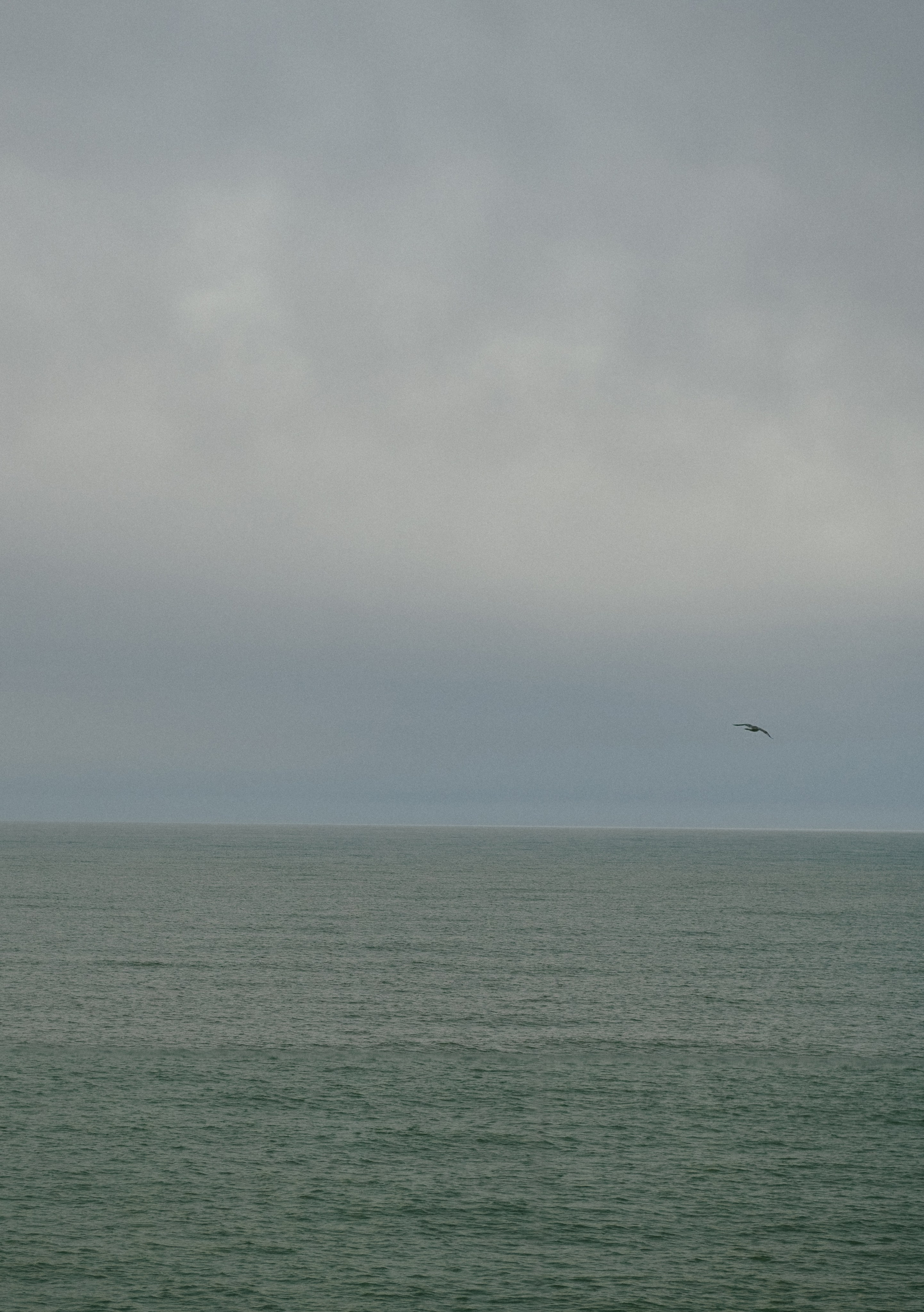 Никита и Анастасия (с.Николаевка). Свадебный, женский, семейный фотограф в Севастополе Юлия Мошенко