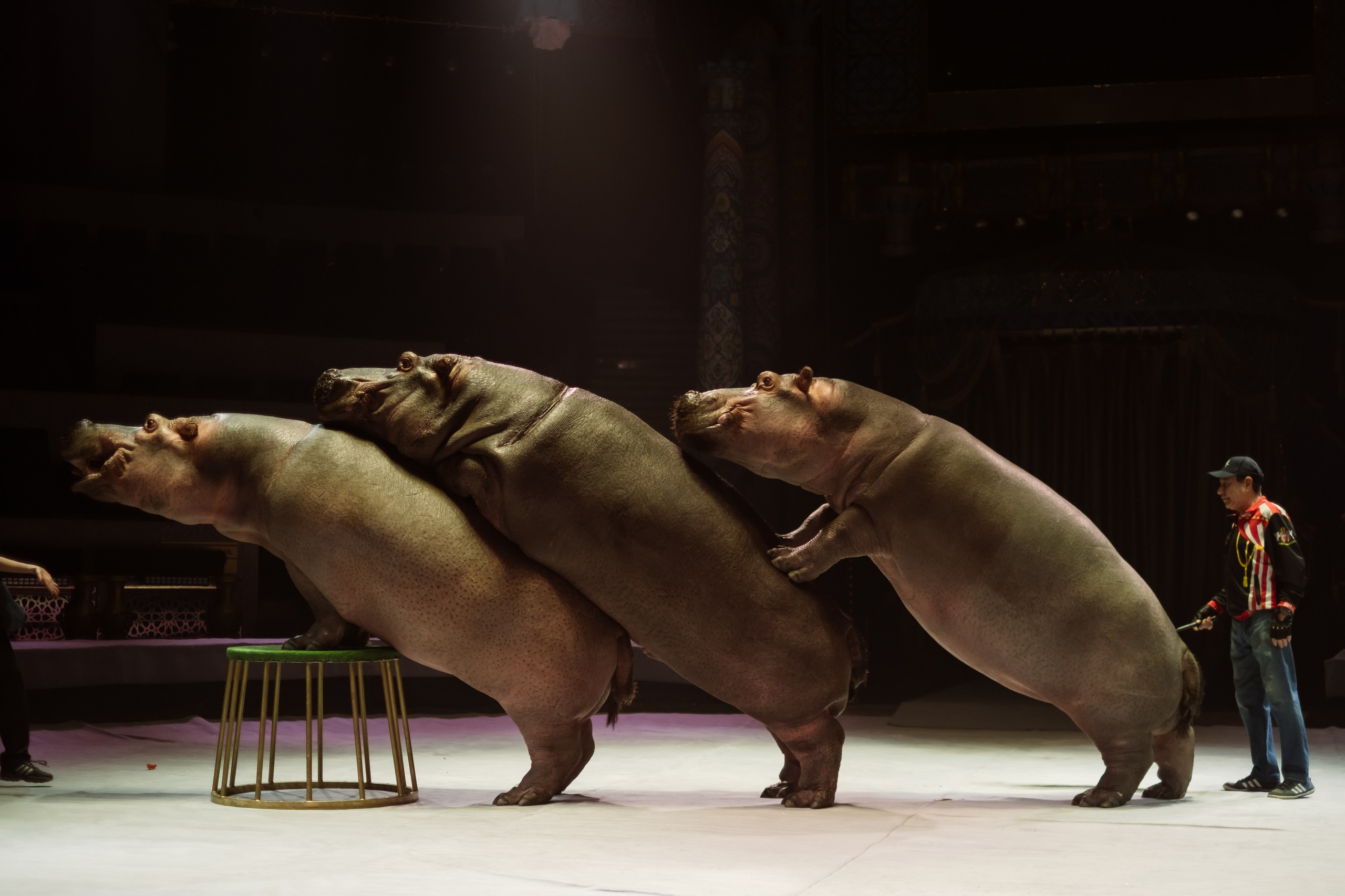 Репортаж. Фотограф Новосибирск Анна Рождественская