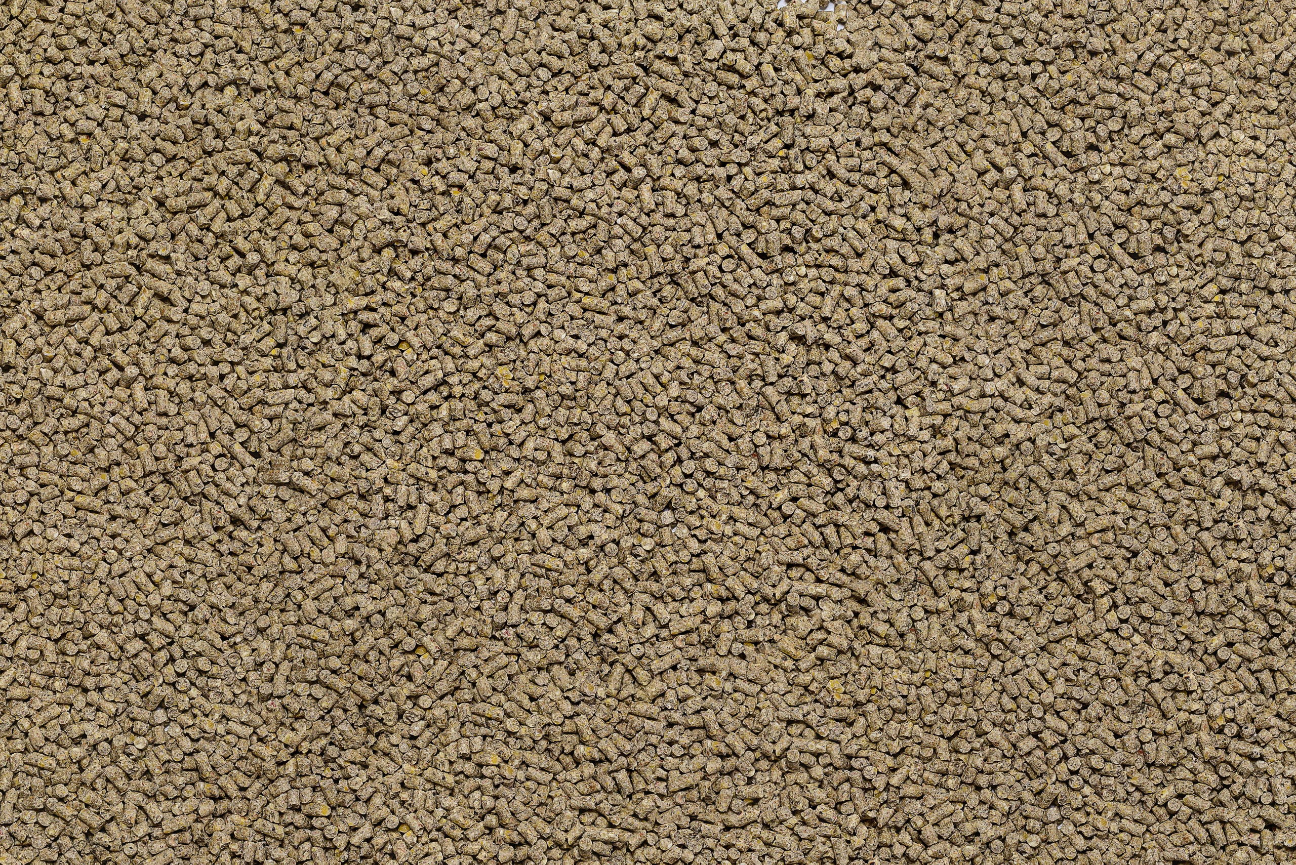 Бизнес портфолио