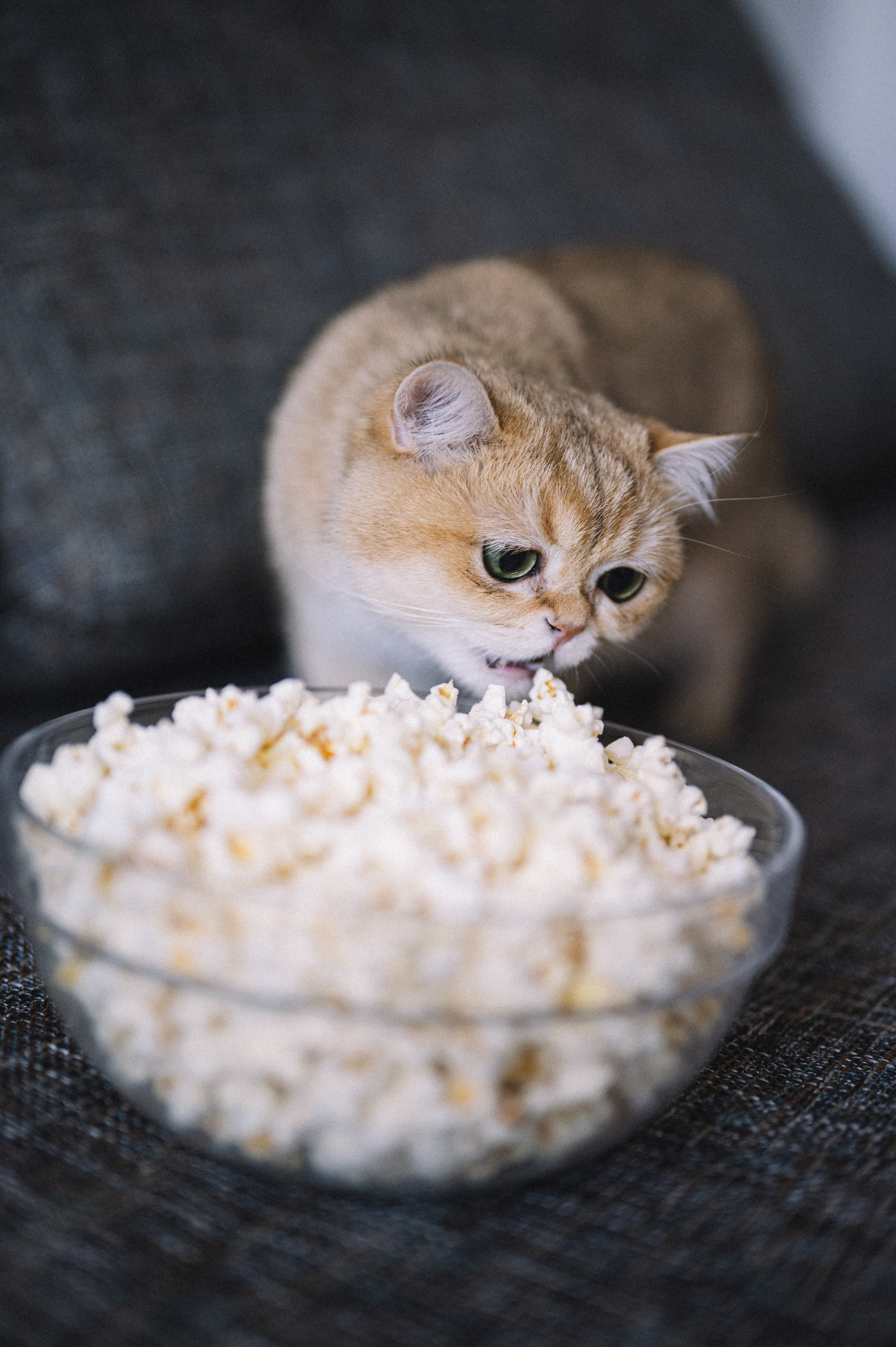 Садовниковы дома. Фотограф Иркутск Лепетанова Марианна