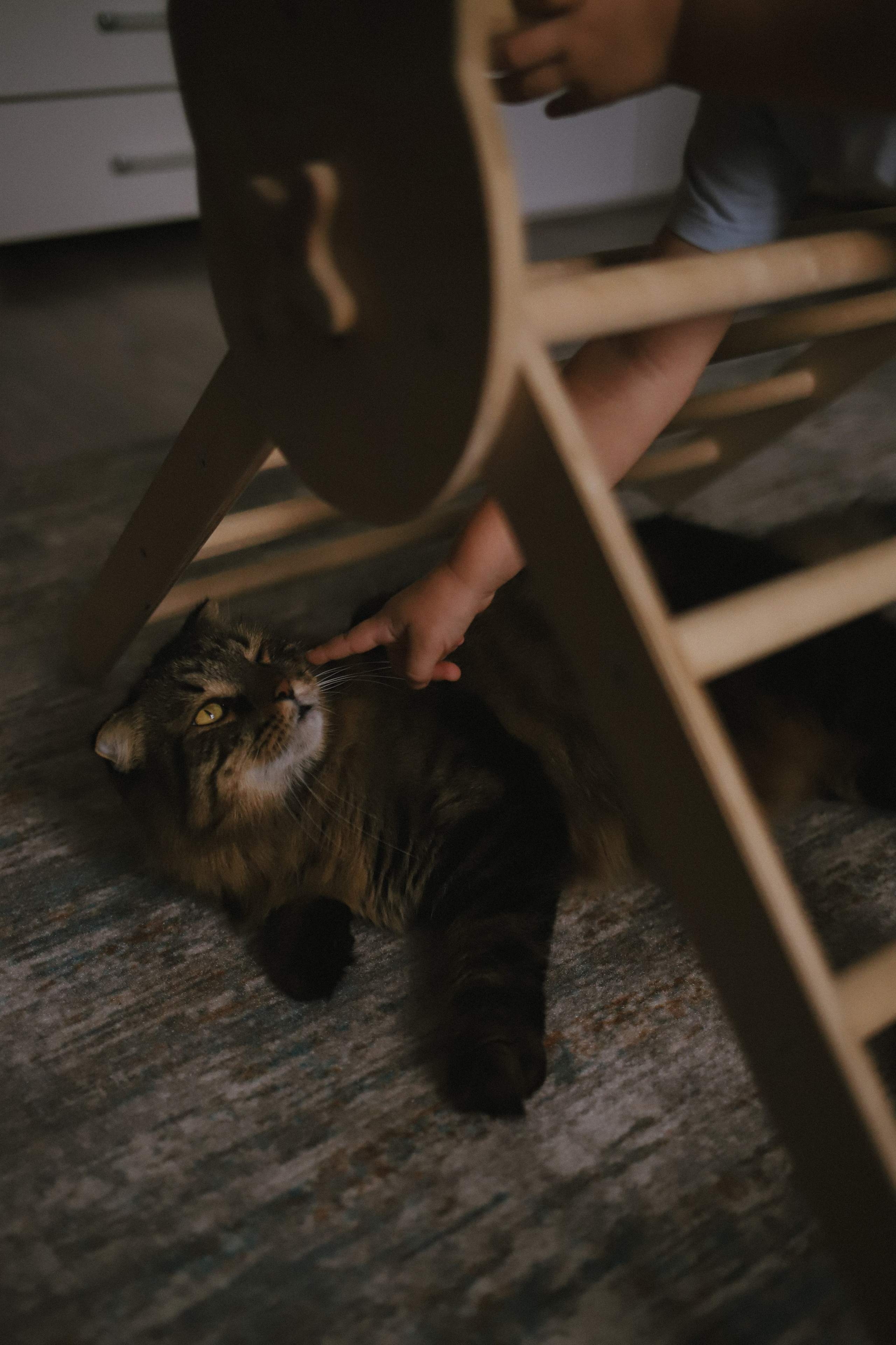 Семьи. Семейный фотограф в Ставрополе Кристина Ткаченко