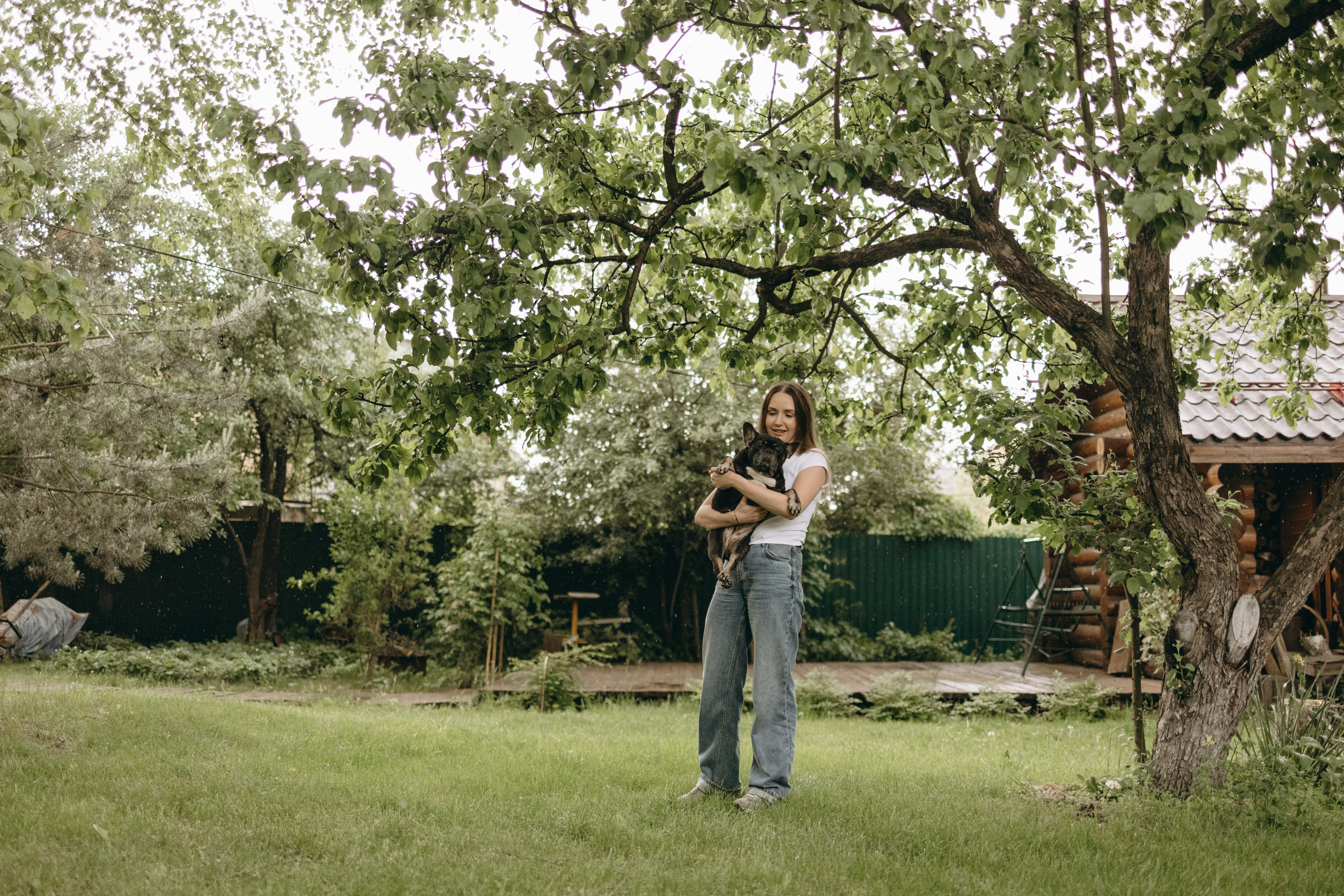 Софа и ее хвостики. Фотограф — Анималист | Санкт-Петербург