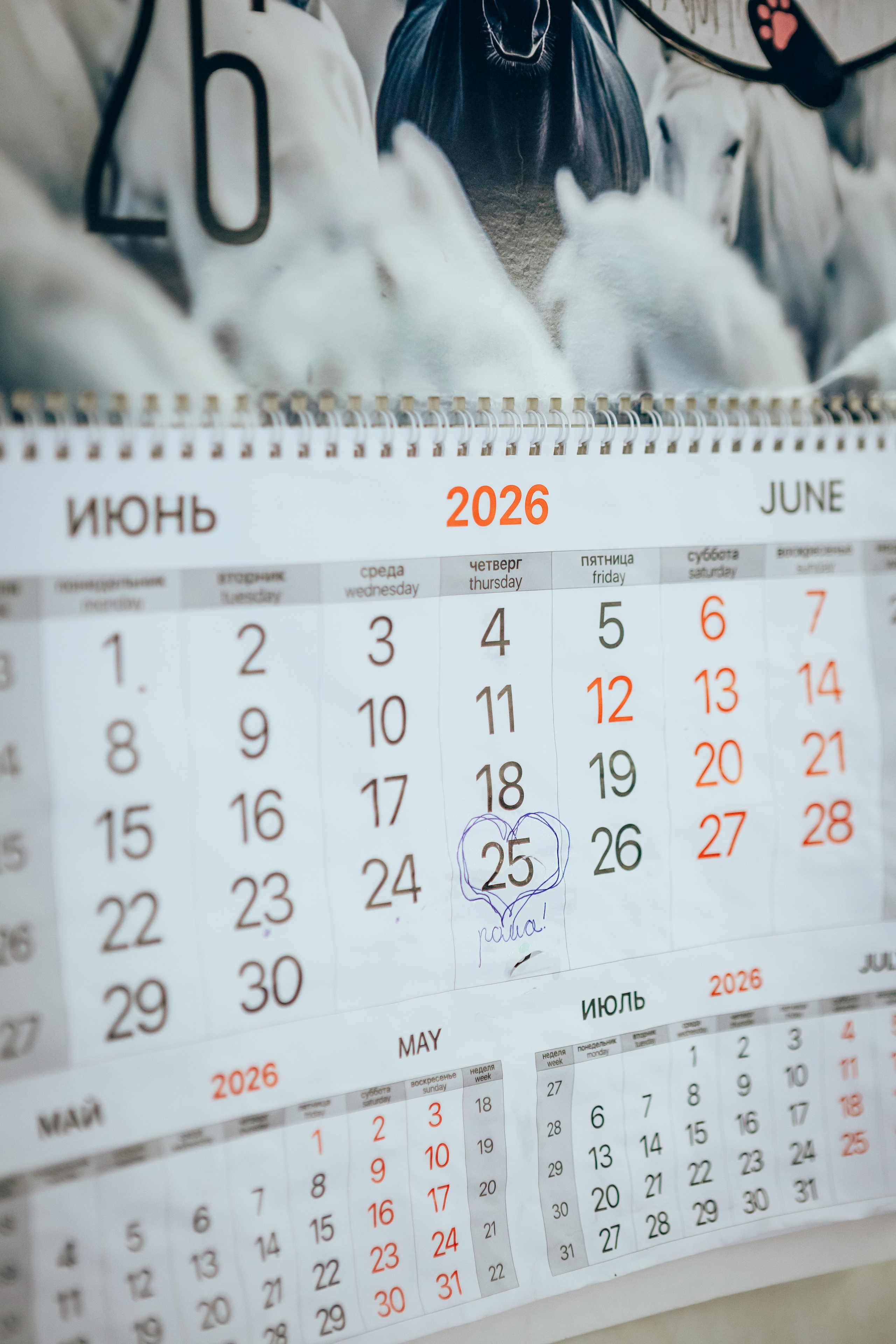 Первый День Рождения Ромы. Семейный и детский фотограф в г. Новосибирске Макеева Анастасия