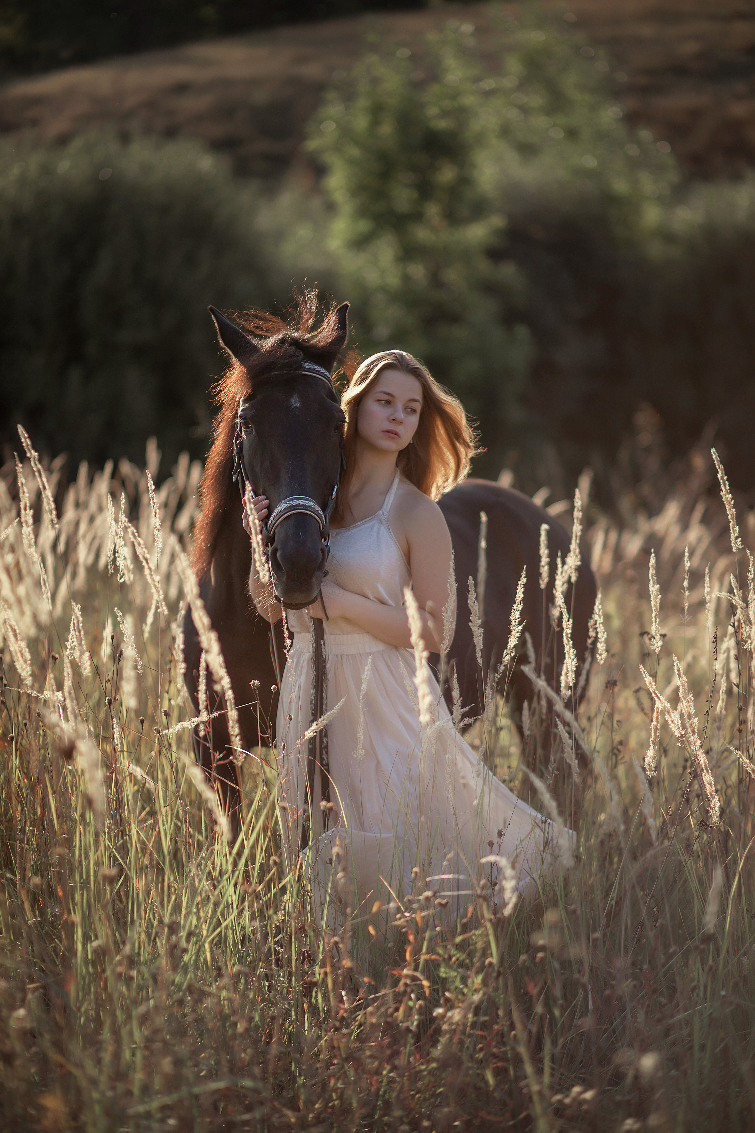 Лошадка. Свадебный фотограф, крещение, венчание СПБ, Белгород Анна Коршунова
