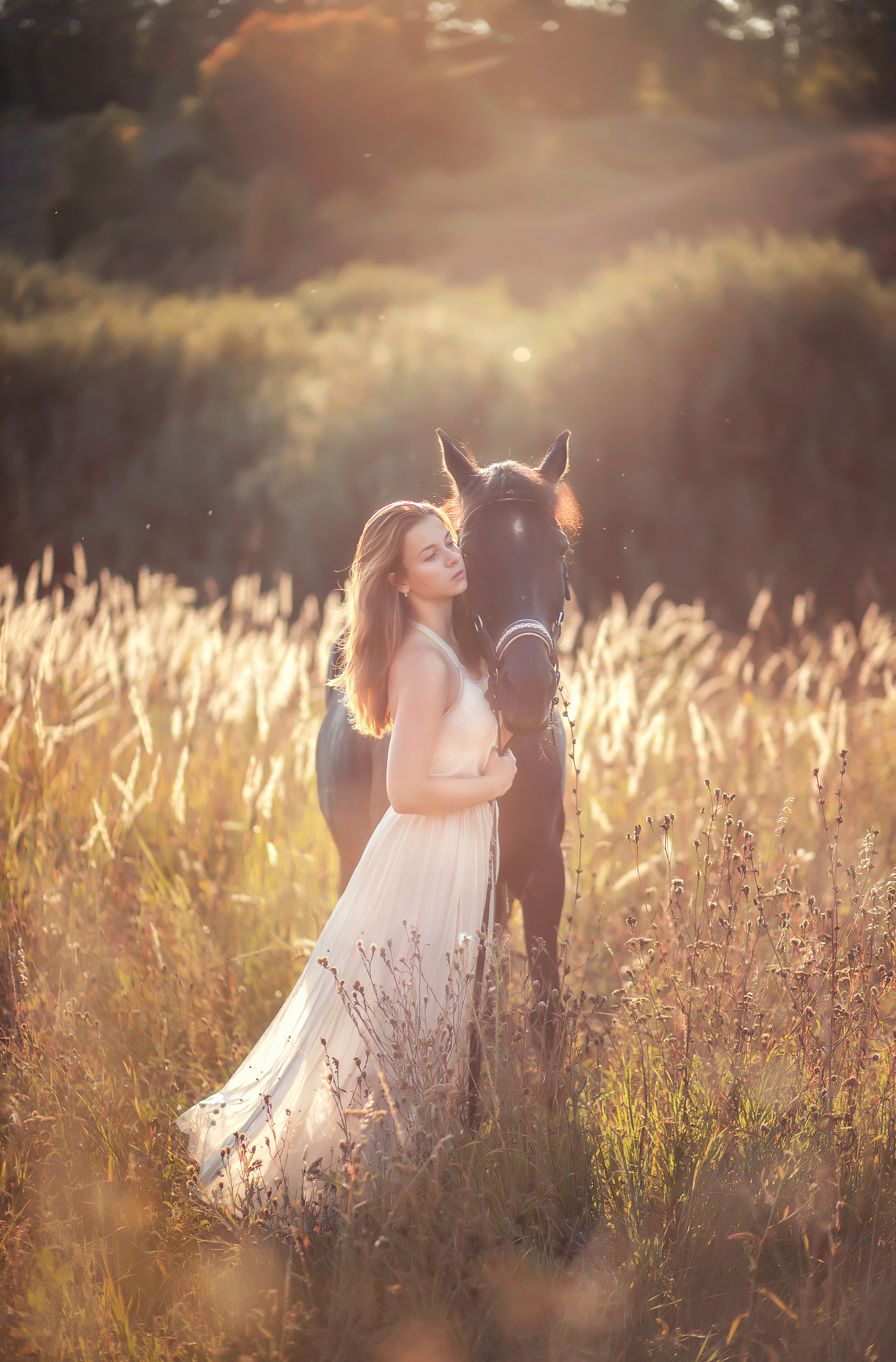 Лошадка. Свадебный фотограф, крещение, венчание СПБ, Белгород Анна Коршунова