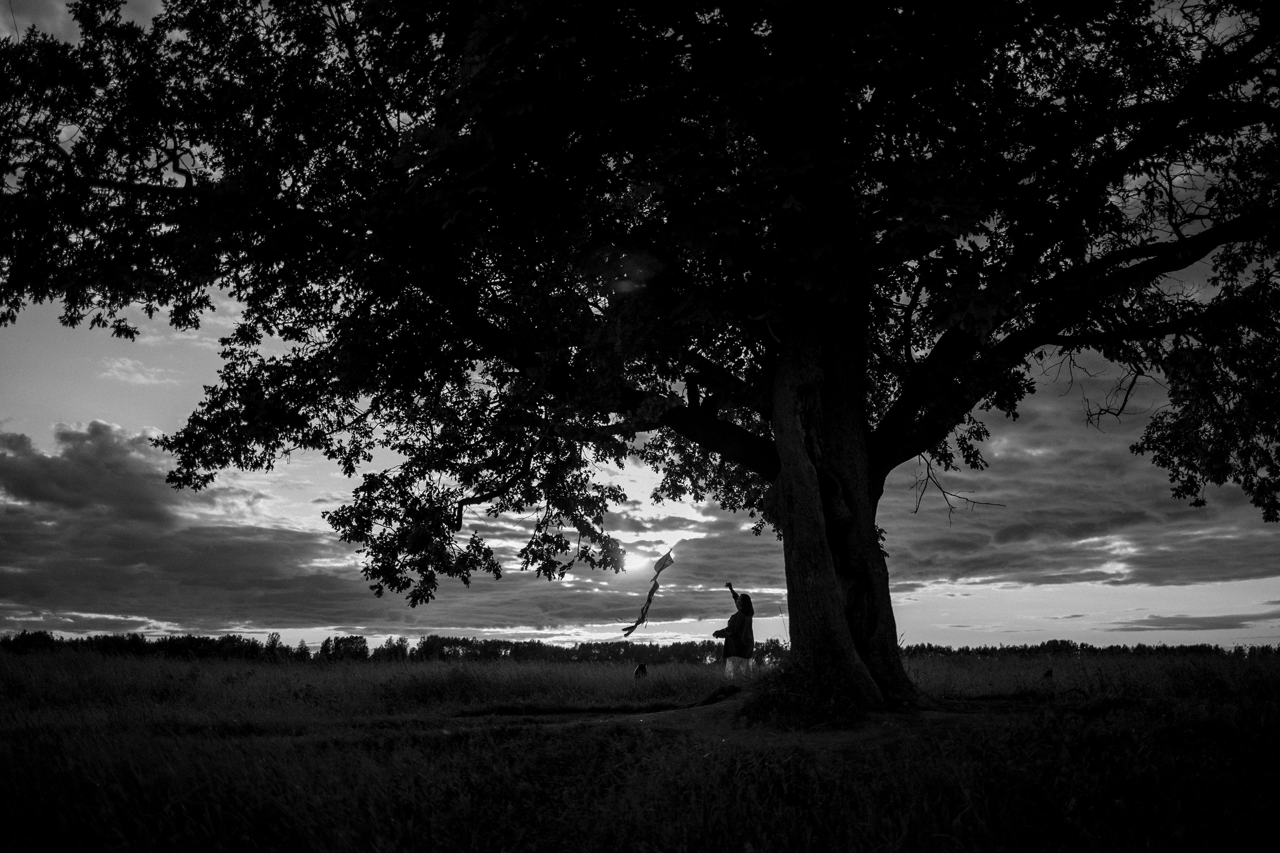 Анна и Максимус. Фотограф — Анималист | Санкт-Петербург