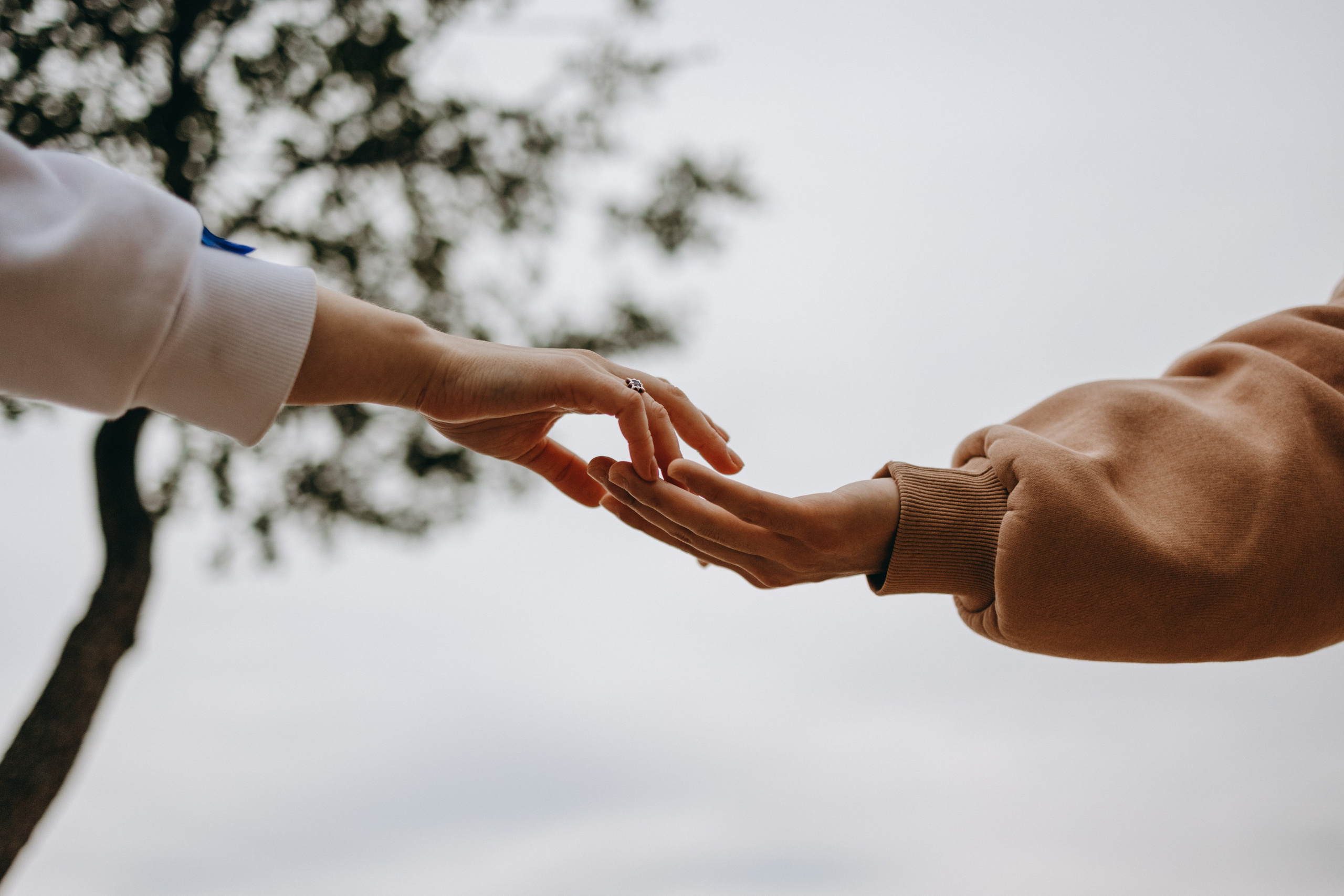 Фоси и его семьи. Фотограф — Анималист | Санкт-Петербург