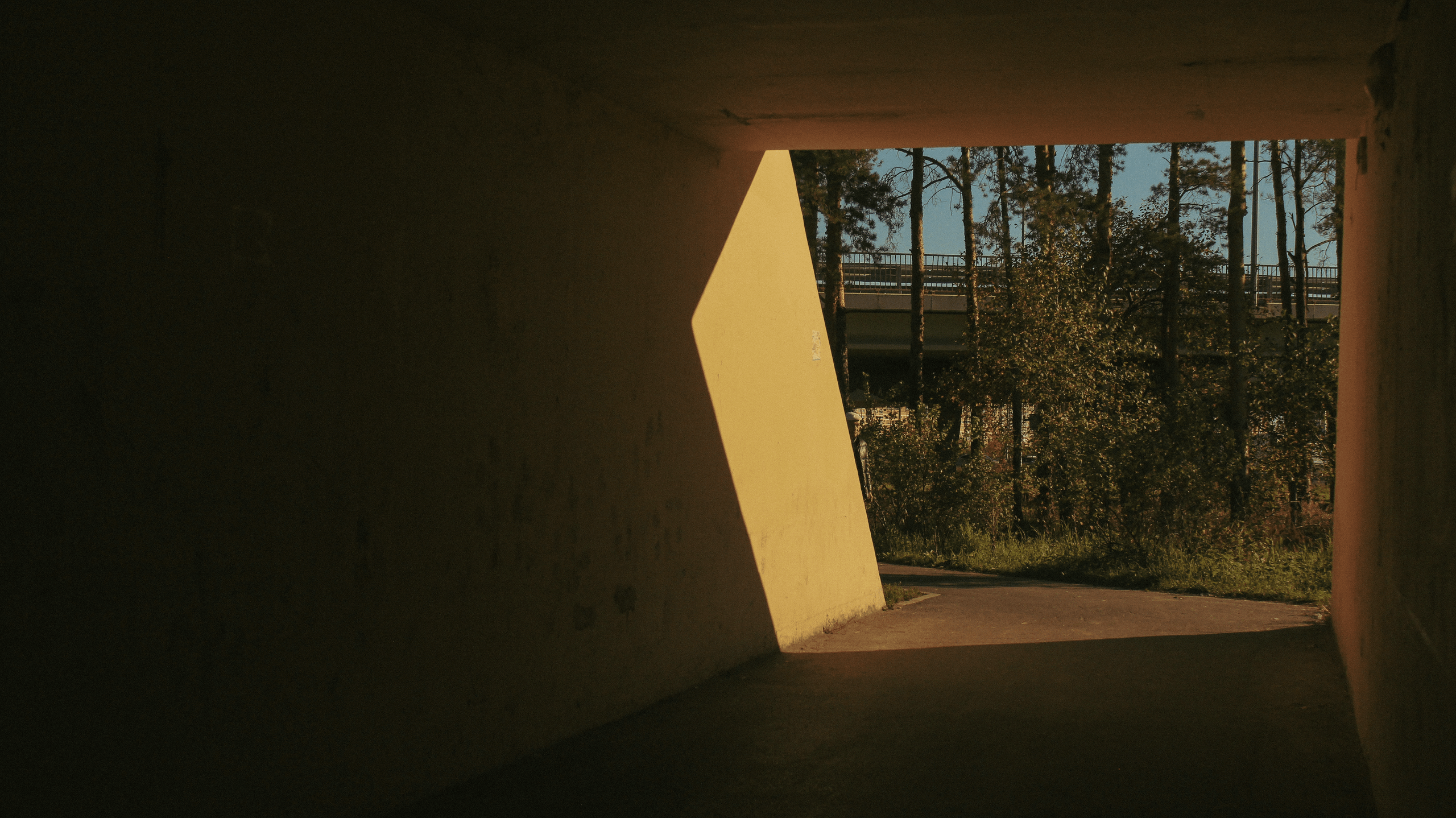 TMN summer '24. Фотограф/дизайнер в Екатеринбурге Хитрый Дмитрий