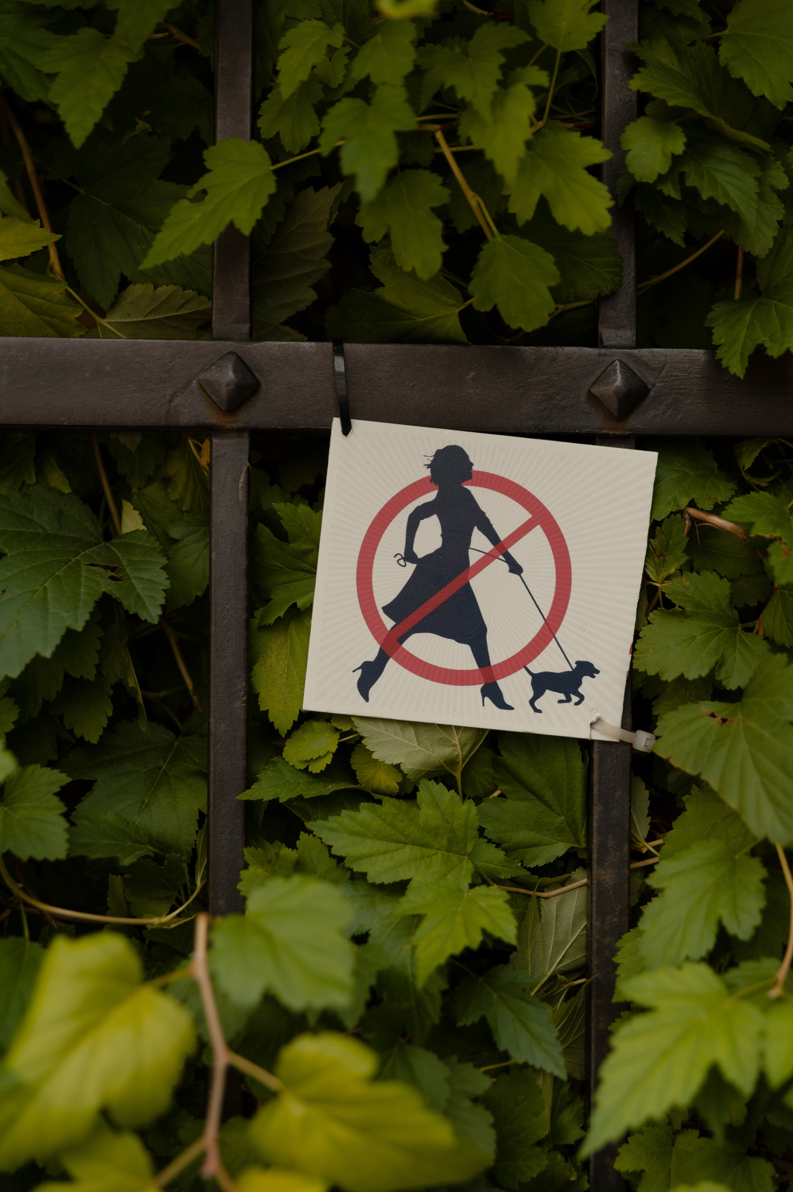 Максим и Геля. Фотограф в Екатеринбурге Артём Зайнетдинов