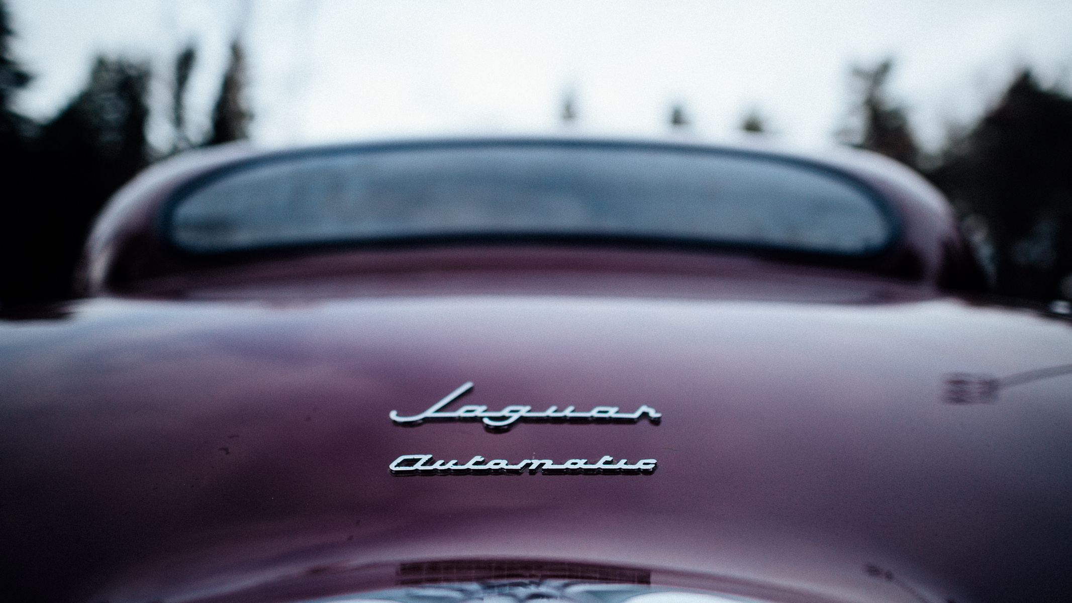 Ирина и Антон. Ваши свадебные фотографии | PONOMAREV PHOTOGRAPHY