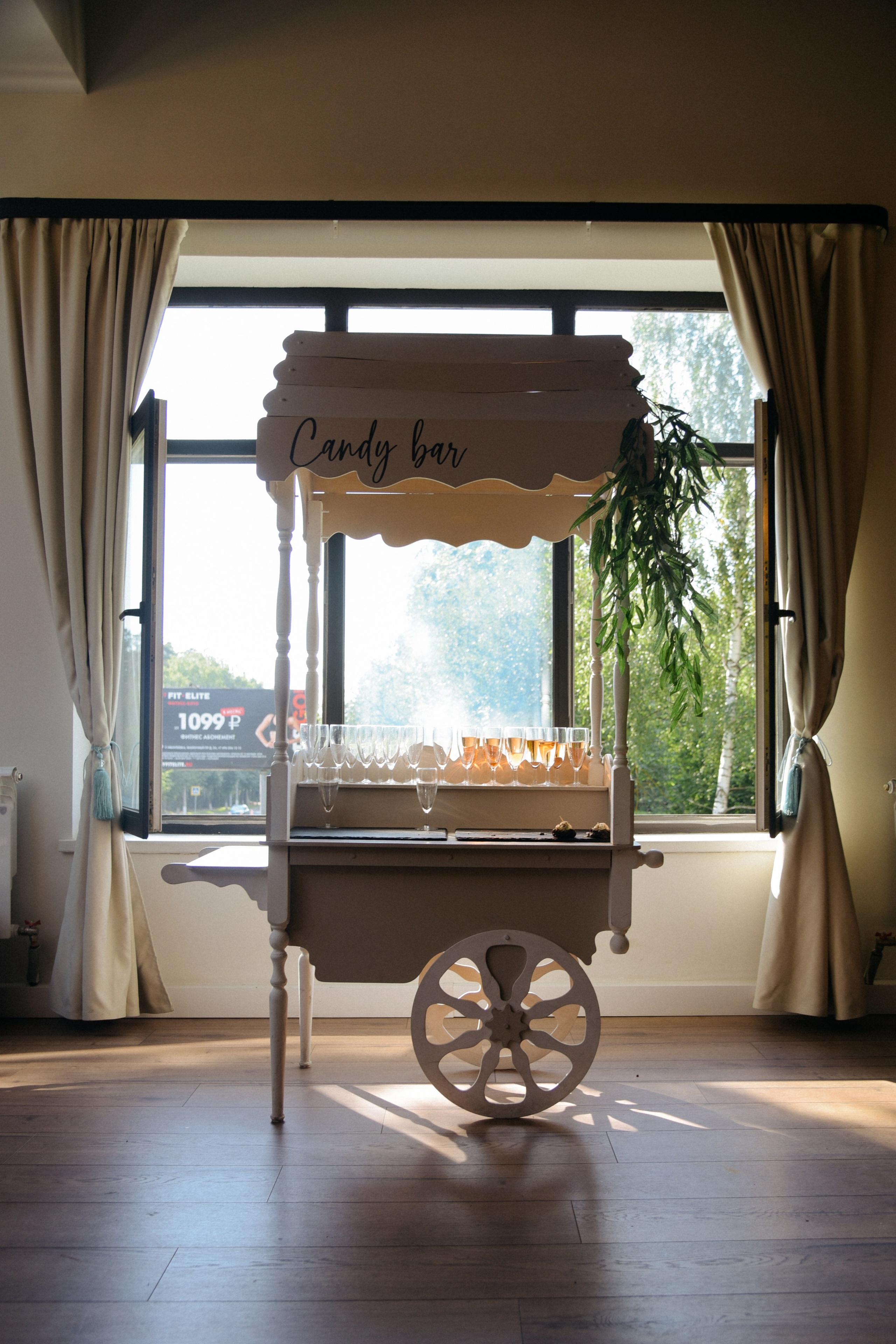 Про лес. Фотограф Лола Волна, город Москва