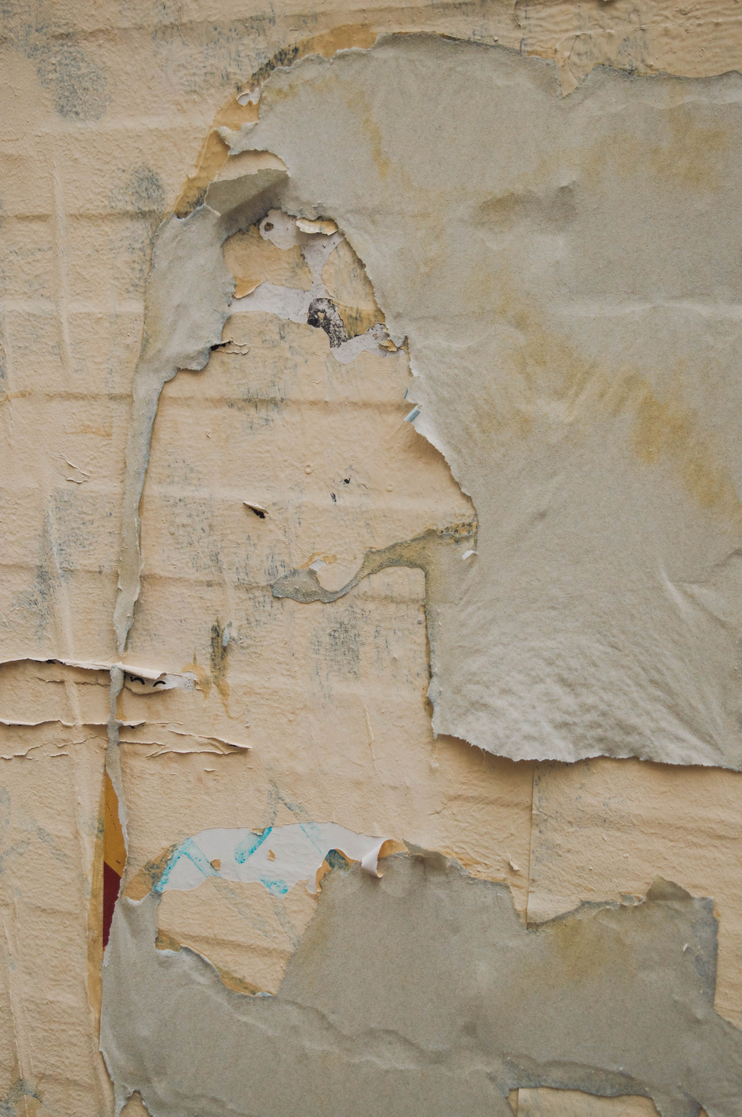 Типология «Стикербомбинг в городе». Фотограф Анастасия Лощакова в Москве