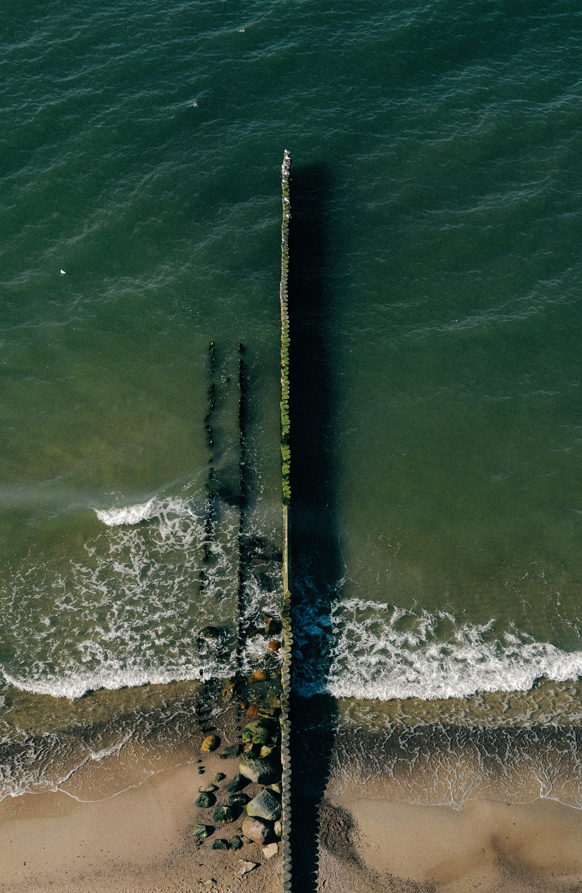 Zelenogradsk. Фотограф София Комкина