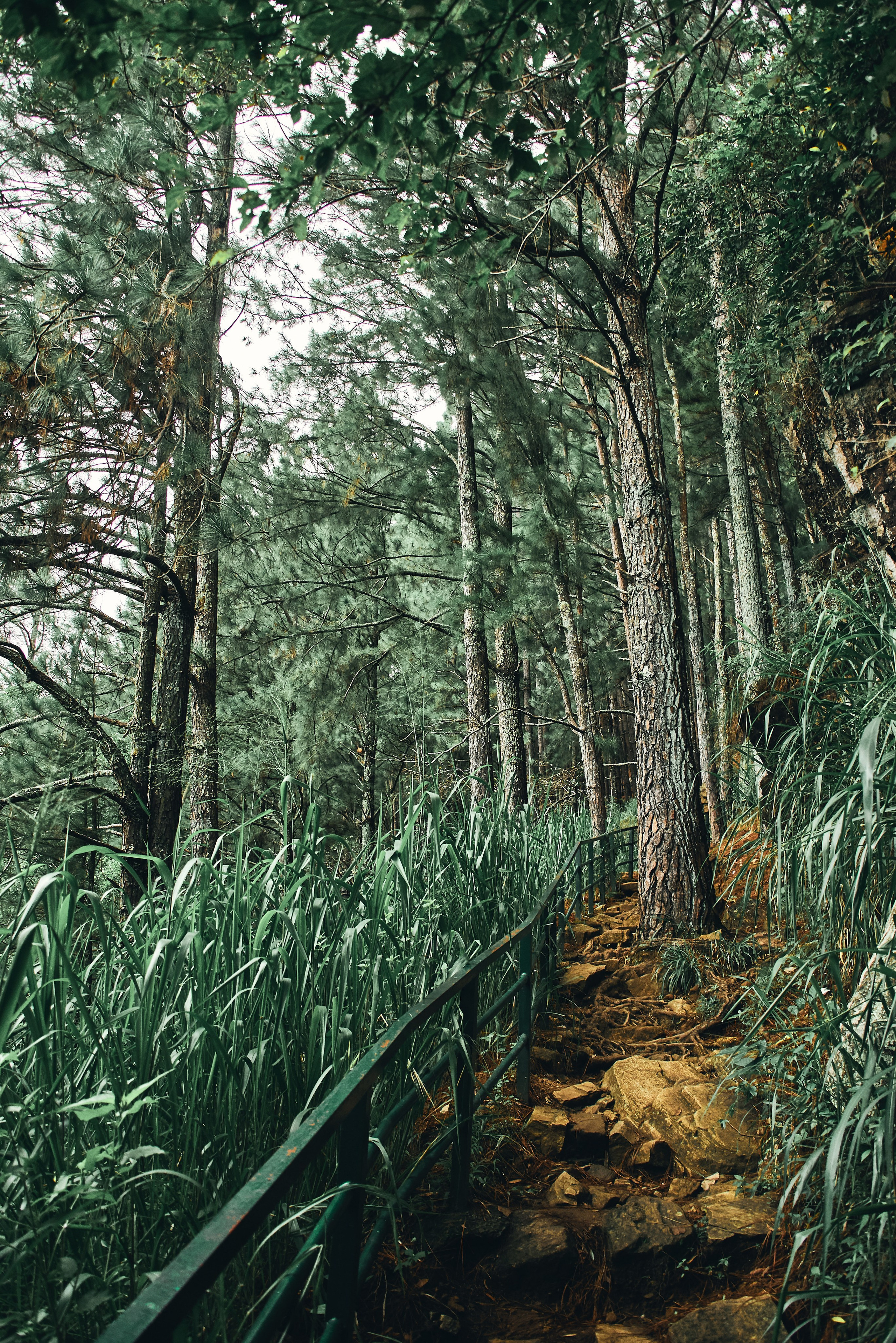 Moto Trip 23-05-19. Никита Хохловский фото и видео продакшн