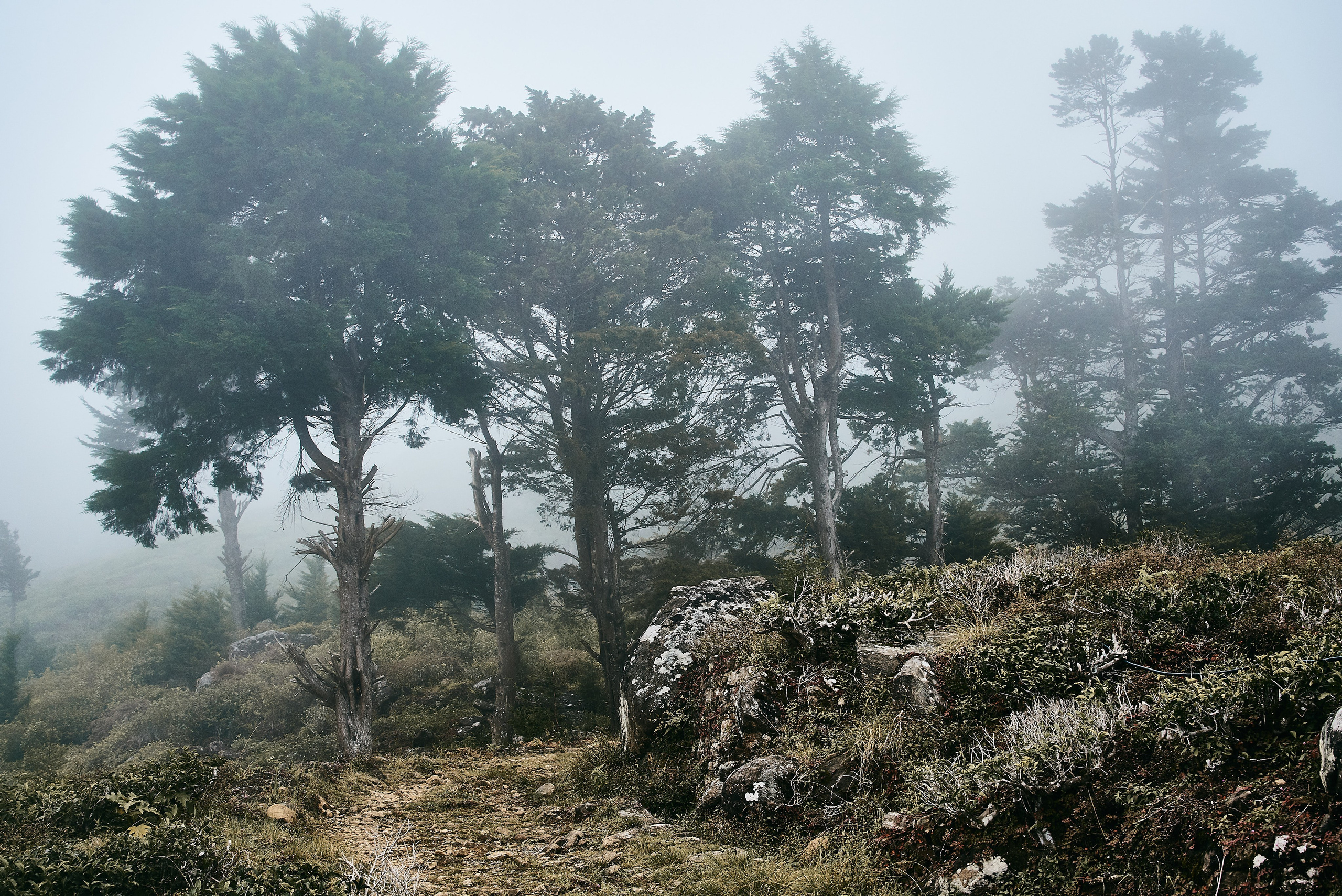 Moto Trip 23-05-19. Никита Хохловский фото и видео продакшн