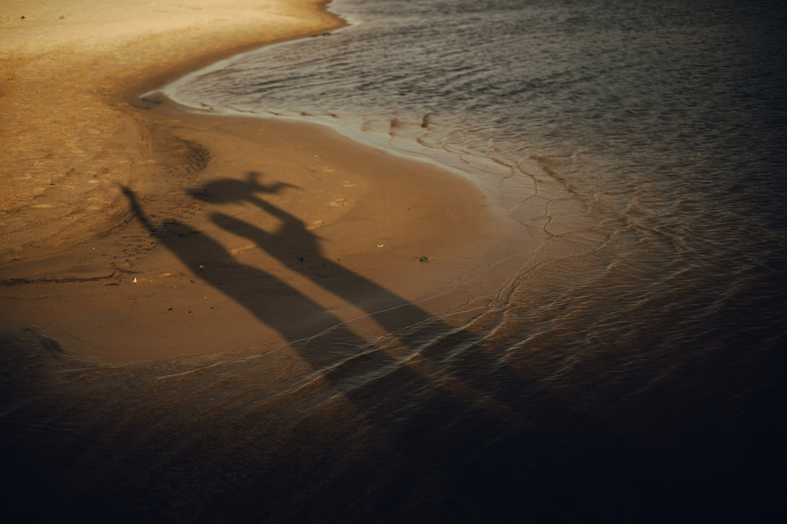 Семейная и детская съёмка. Фотограф Анатолий Ведерников